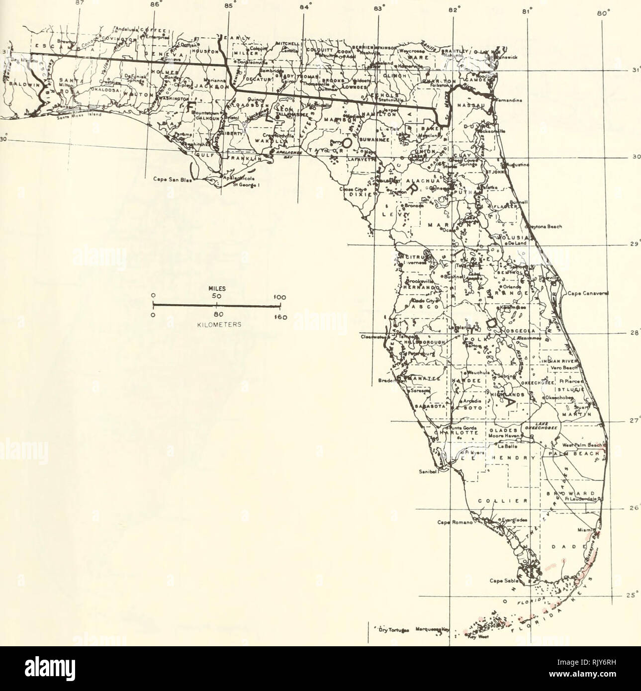 . Atlas of United States trees: volume 5. Florida. Trees. Map 212.—Gymnanthes lucida Sw., oysterwood.. Please note that these images are extracted from scanned page images that may have been digitally enhanced for readability - coloration and appearance of these illustrations may not perfectly resemble the original work.. Little, Elbert L. (Elbert Luther), 1907-2004; United States. Forest Service. Washington, D. C. : U. S. Dept. of Agriculture, Forest Service Stock Photo