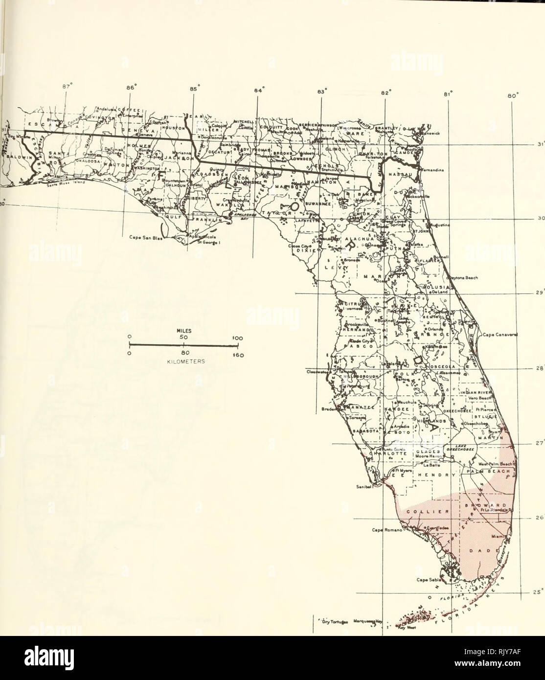 . Atlas of United States trees: volume 5. Florida. Trees. Map 200.—Eugenia foetida Pers., boxleaf stopper.. Please note that these images are extracted from scanned page images that may have been digitally enhanced for readability - coloration and appearance of these illustrations may not perfectly resemble the original work.. Little, Elbert L. (Elbert Luther), 1907-2004; United States. Forest Service. Washington, D. C. : U. S. Dept. of Agriculture, Forest Service Stock Photo