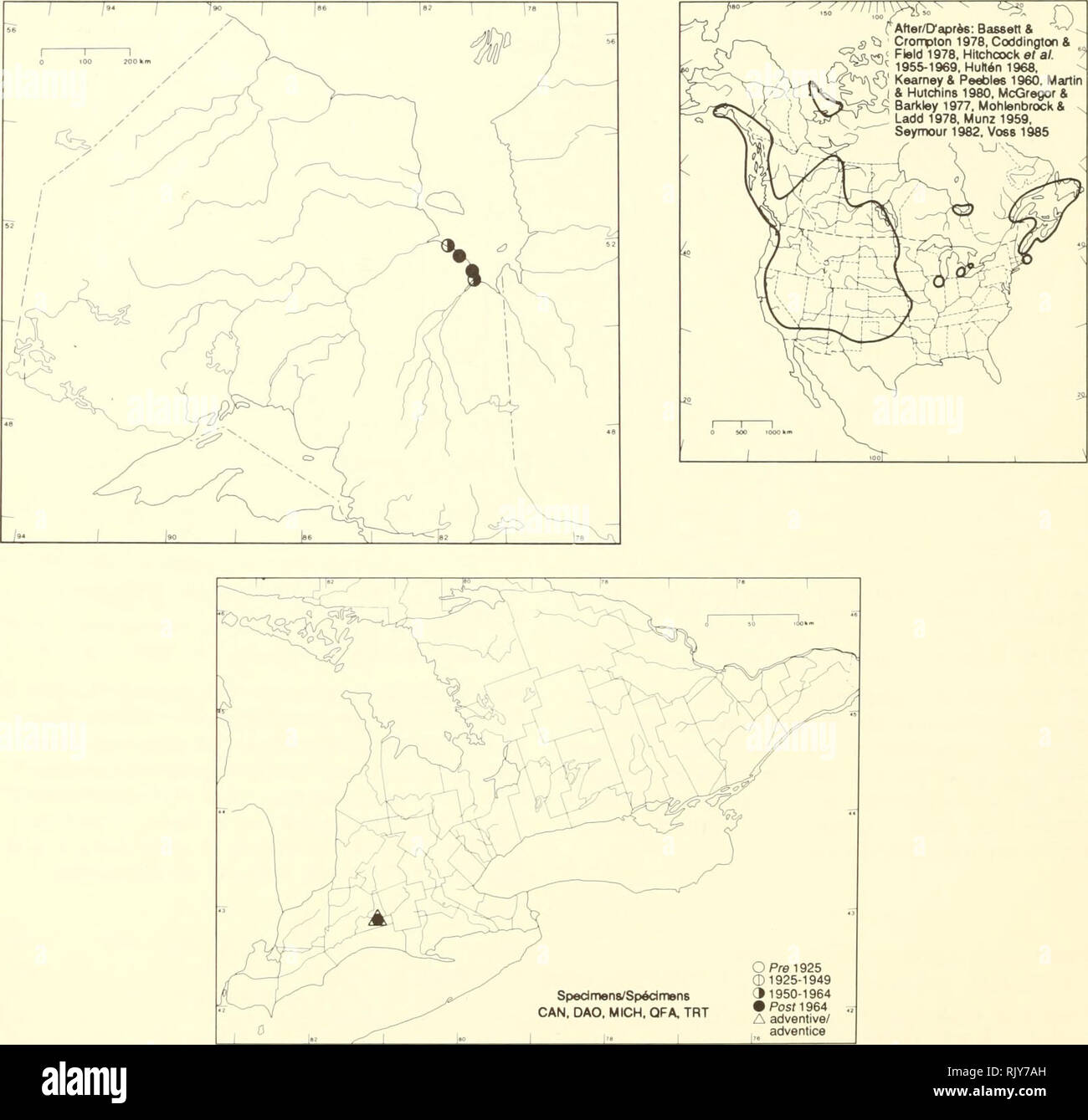 . Atlas of the rare vascular plants of Ontario. Rare plants; Botany. Atlas of the Rare Vascular Plants of Ontario/Atlas des plantes vasculaires rares de l'Ontario CHENOPODIACEAE Suaeda calceoliformis (Hook.) Moq. (S. americana {Pers.) Fern., S. depressa aucn. non (Pursh) S. Wats., S. depressa war. erecta S. Wats) Sea-blite SuÃ©da. HABITAT: Saline and alkaline areas. STATUS: Rare in the Northwest Territories, Prince Edward Island, and the Yukon. Rare in Maine and Massachusetts. HABITAT: Zones salines et alcalines. SITUATION: Rare dans les Territoires du Nord- Ouest, Ã l'Ã®le du Prince-Edouard e Stock Photo