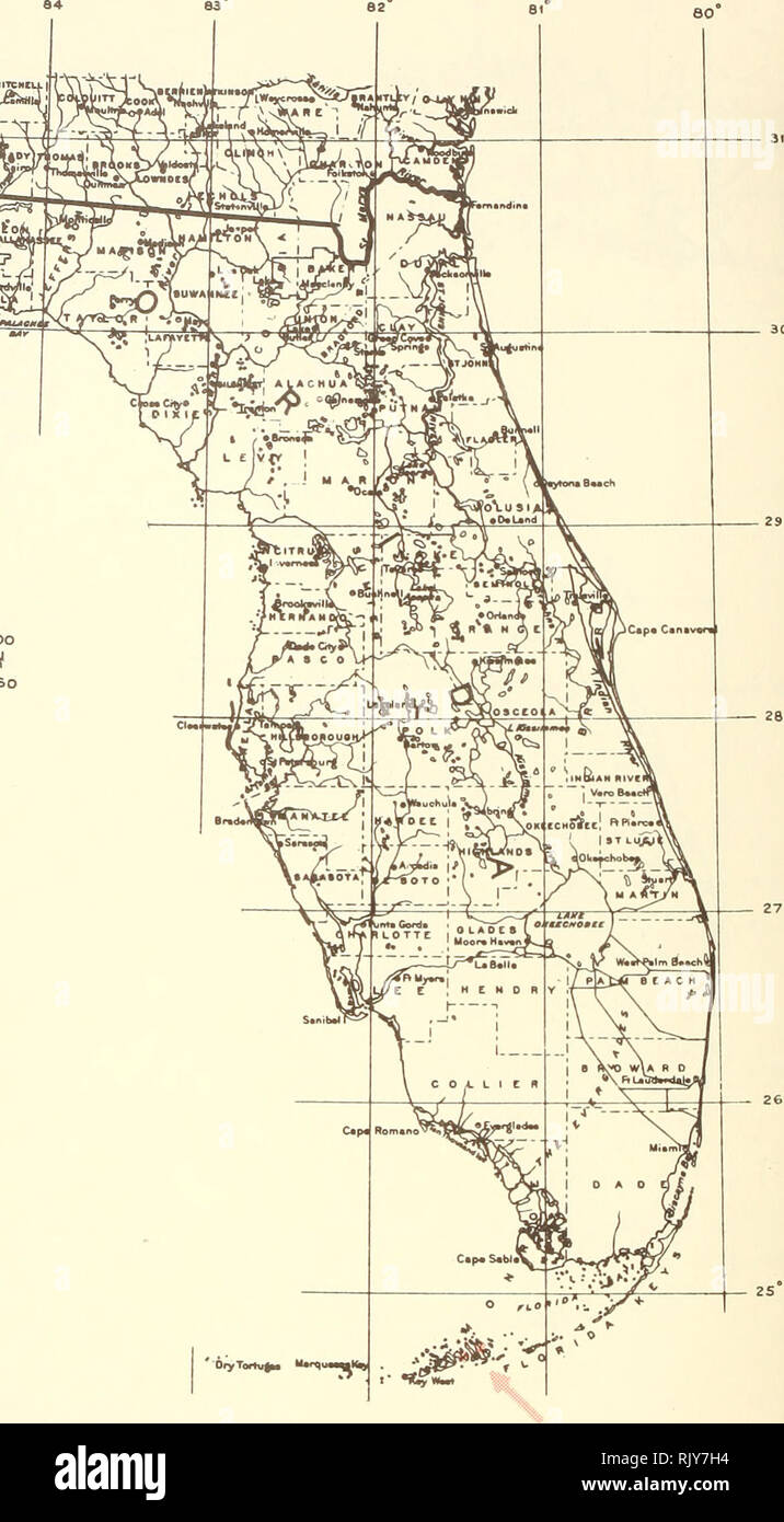 . Atlas of United States trees: volume 5. Florida. Trees. as CJA r0 r-*&lt; Jcoiqia^. A* Ji&quot;&quot;- f t n , f r I &quot;TSori nSdrivijfc&quot; / 1 u' OK^ATU» 1 4^&amp;-S jfC &amp;V- 6»t ?n kf»*oi 1 C«p. S«n Bf. G*orfa I MILES 50 -H— 80 KILOMETERS • 60. OryTortuJu &quot;«l««* . *' r Hi;**, Map 193.—Cupania glabra Sw., Florida cupanu na.. Please note that these images are extracted from scanned page images that may have been digitally enhanced for readability - coloration and appearance of these illustrations may not perfectly resemble the original work.. Little, Elbert L. (Elbert Luther), Stock Photo