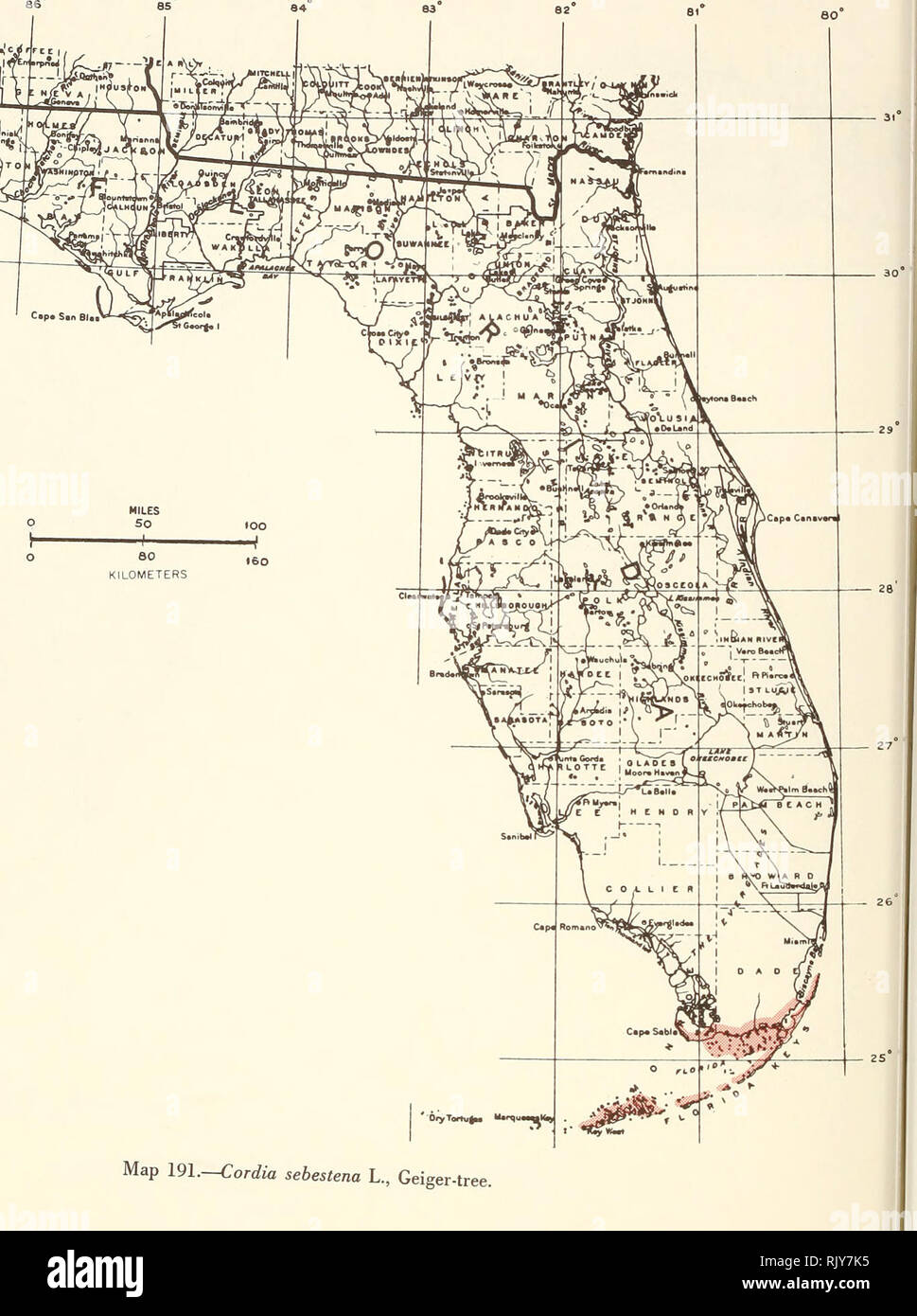 . Atlas of United States trees: volume 5. Florida. Trees. J'' Map 191.—Cordia sebestena L., Geiger-tree.. Please note that these images are extracted from scanned page images that may have been digitally enhanced for readability - coloration and appearance of these illustrations may not perfectly resemble the original work.. Little, Elbert L. (Elbert Luther), 1907-2004; United States. Forest Service. Washington, D. C. : U. S. Dept. of Agriculture, Forest Service Stock Photo