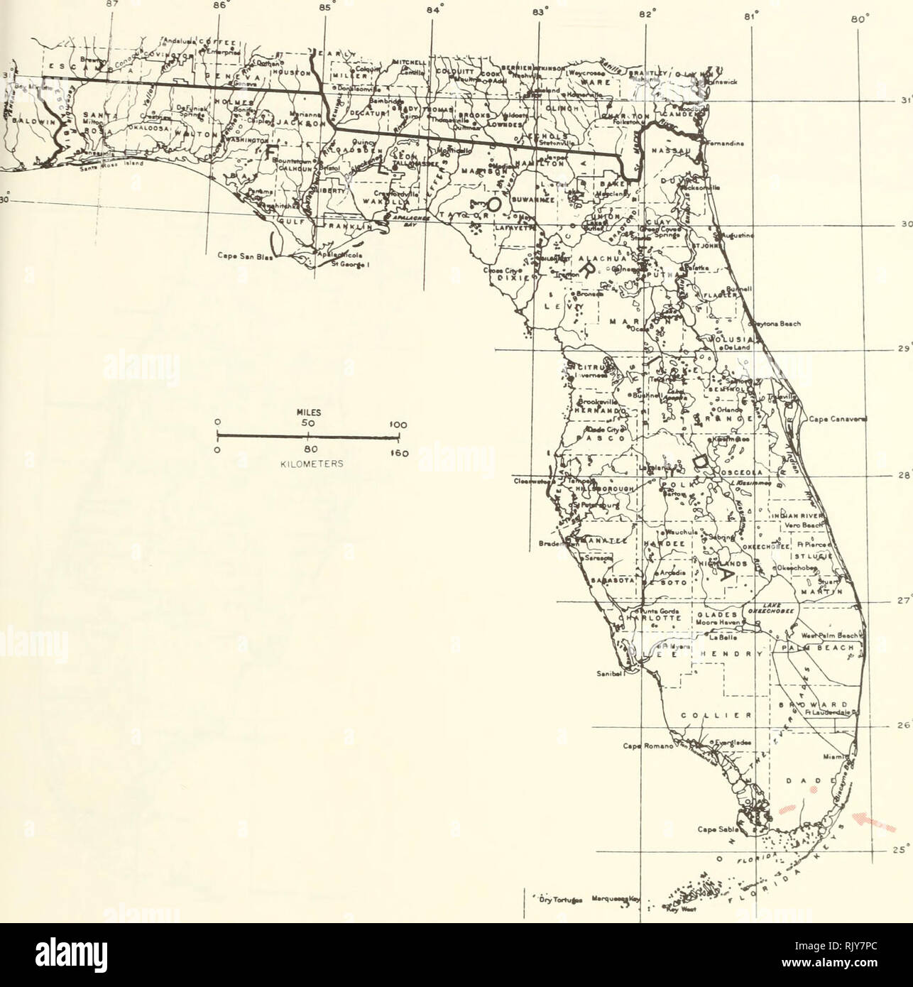 . Atlas of United States trees: volume 5. Florida. Trees. Map 188.—Colubrirm cubensis (Jacq.) Brongn., Cuba colubrina.. Please note that these images are extracted from scanned page images that may have been digitally enhanced for readability - coloration and appearance of these illustrations may not perfectly resemble the original work.. Little, Elbert L. (Elbert Luther), 1907-2004; United States. Forest Service. Washington, D. C. : U. S. Dept. of Agriculture, Forest Service Stock Photo