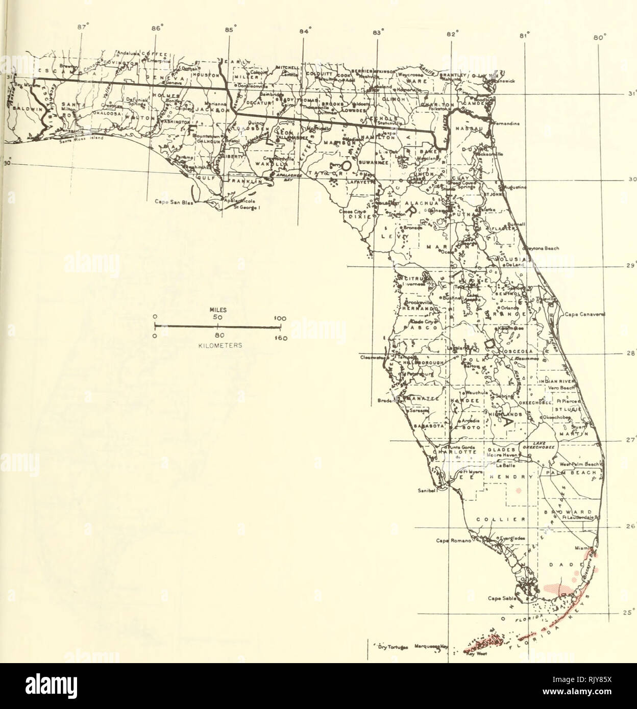 . Atlas of United States trees: volume 5. Florida. Trees. Map 174.—Calyptranthes pollens Griseb., pale lidflower.. Please note that these images are extracted from scanned page images that may have been digitally enhanced for readability - coloration and appearance of these illustrations may not perfectly resemble the original work.. Little, Elbert L. (Elbert Luther), 1907-2004; United States. Forest Service. Washington, D. C. : U. S. Dept. of Agriculture, Forest Service Stock Photo
