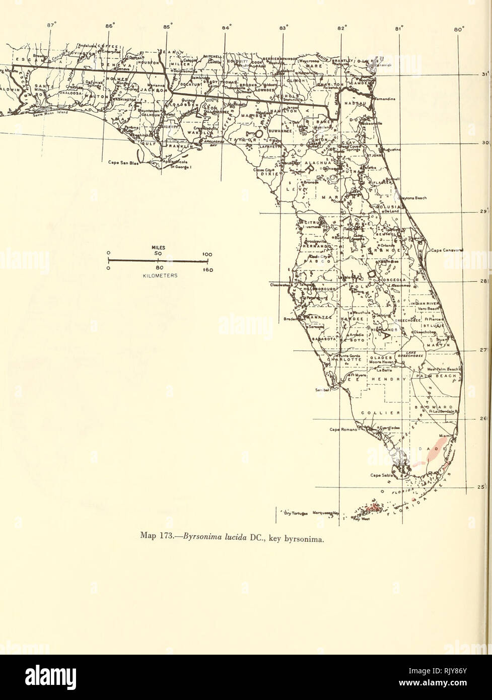 . Atlas of United States trees: volume 5. Florida. Trees. Map 173.—Byrsonima lucida DC, key byrs. Please note that these images are extracted from scanned page images that may have been digitally enhanced for readability - coloration and appearance of these illustrations may not perfectly resemble the original work.. Little, Elbert L. (Elbert Luther), 1907-2004; United States. Forest Service. Washington, D. C. : U. S. Dept. of Agriculture, Forest Service Stock Photo