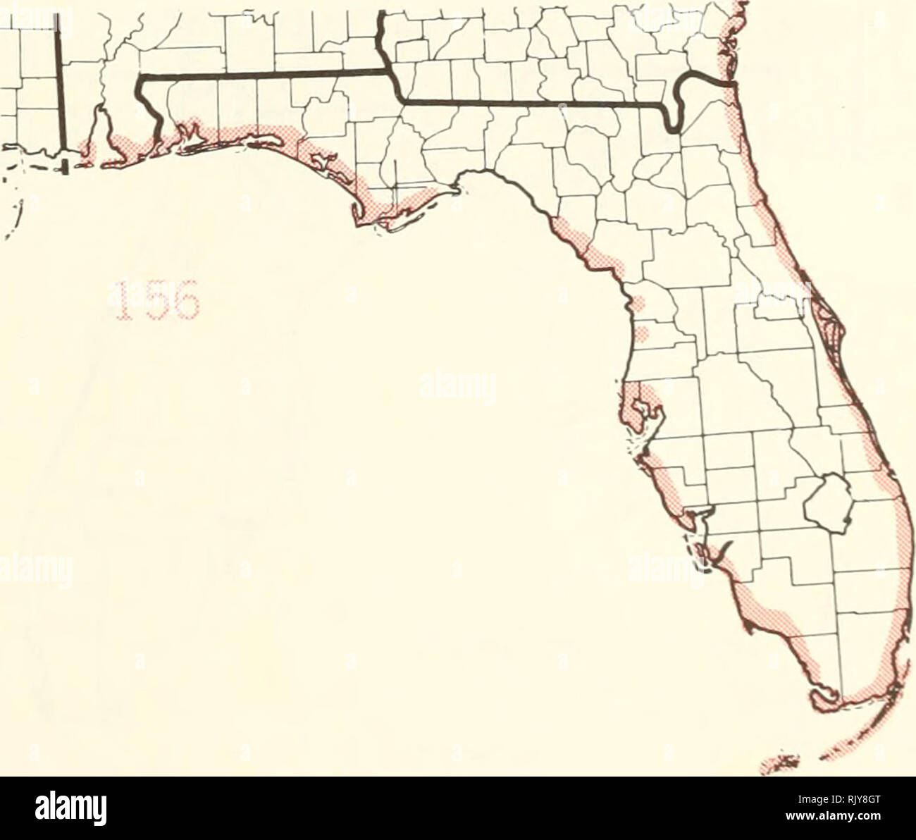 . Atlas of United States trees: volume 5. Florida. Trees. 0 100 I I I 1 200 MILES | ' I â | â I ' | ' 0 100 200 300 KILOMETERS. Map 151.âVlmus rubra Miihl., slippery elm. Map 152.-Vaccinium arboreum Marsh., tree sparkleberry. Map 153.-Viburnum nudum L., possumhaw viburnum. Map 154.âViburnum obovatum Walt., Walter viburnum. Map 155.âViburnum rufidulum Rat., rusty blackhaw. Map 156.âYucca aloifolia L., aloe yucca.. Please note that these images are extracted from scanned page images that may have been digitally enhanced for readability - coloration and appearance of these illustrations may not p Stock Photo