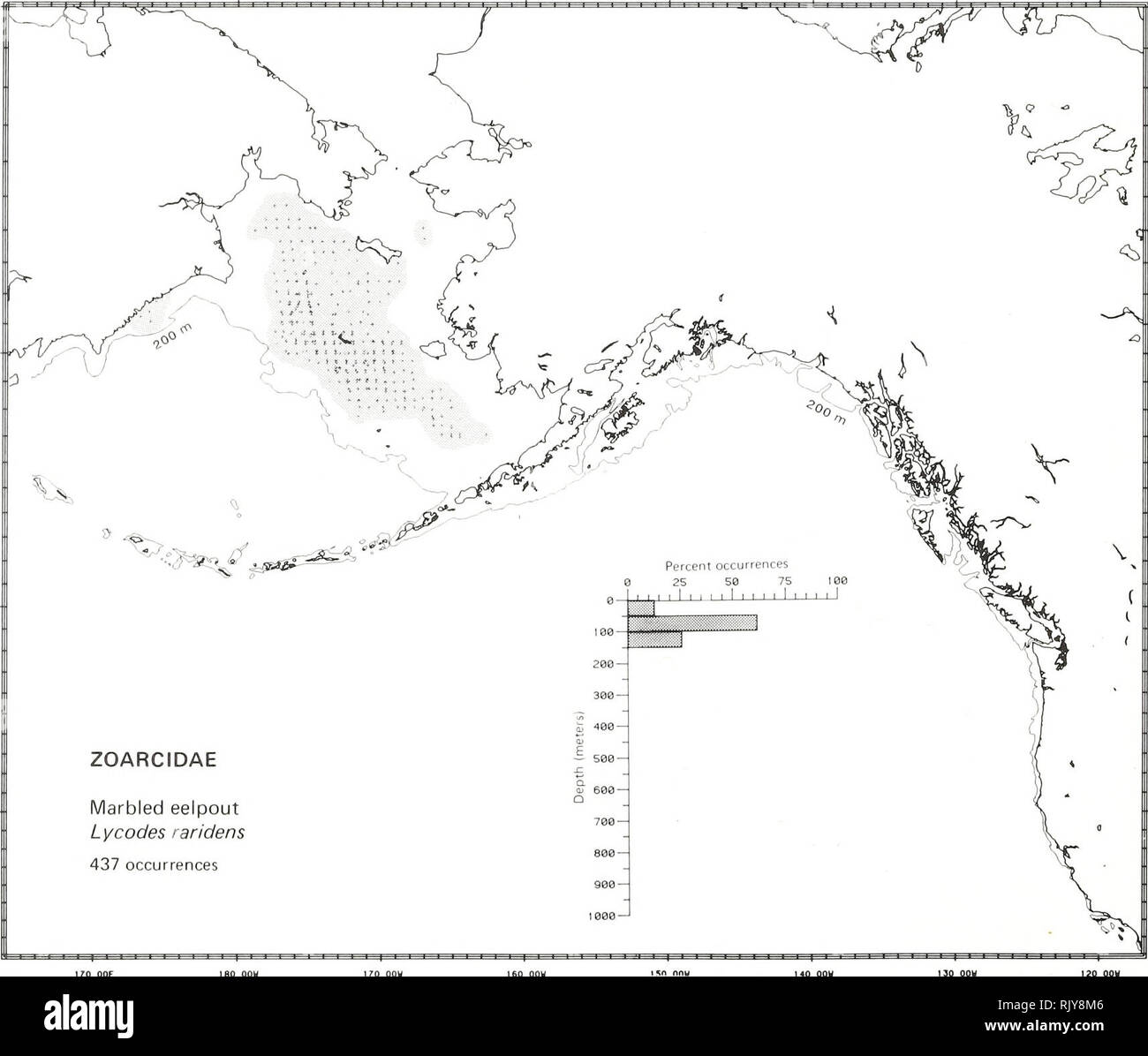 . Atlas and zoogeography of common fishes in the Bering Sea and Northeastern Pacific / M. James Allen, Gary B. Smith. Fishes Bering Sea Geographical distribution.. MARBLED EELPOUT, Lycodes raridens Taranets and Andriyashev 1937 Zoarcidae: Eelpouts Literature Reported from southeastern Sakhalin, U.S.S.R., and the Sea of Okhotsk to the Alaskan Arctic, extending through the Bering Sea west of Saint Matthew Island (Andriyashev 1954; Quast and Hall 1972), at depths of 42 to 130 m (Howe 1981). Survey data Found from off Dezhneva Bay (on the Korak Coast of the western Bering Sea) north to the norther Stock Photo