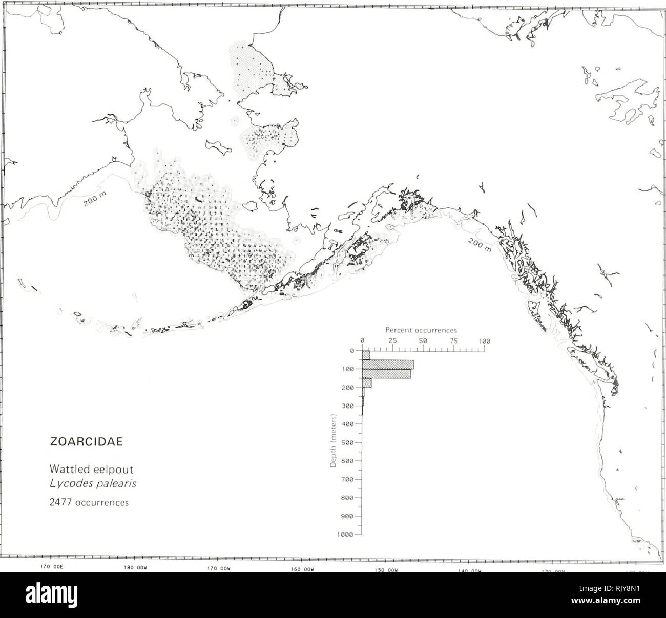 . Atlas and zoogeography of common fishes in the Bering Sea and Northeastern Pacific / M. James Allen, Gary B. Smith. Fishes Bering Sea Geographical distribution.. WATTLED EELPOUT, Lycodes palearis Gilbert 1896 Zoarcidae: Eelpouts Literature Reported from Peter the Great Bay in the Sea of Japan and the Sea of Okhotsk north to the Chukchi Sea and south to Oregon (Quast and Hall 1972; Hart 1973; Eschmeyer and Herald 1983), at depths of 29 to 316 m (Andriyashev 1954; Fedorov 1973a). Survey data Found from Point Hope in the Chukchi Sea, south in the eastern Bering Sea to Cape Navarin in the west a Stock Photo