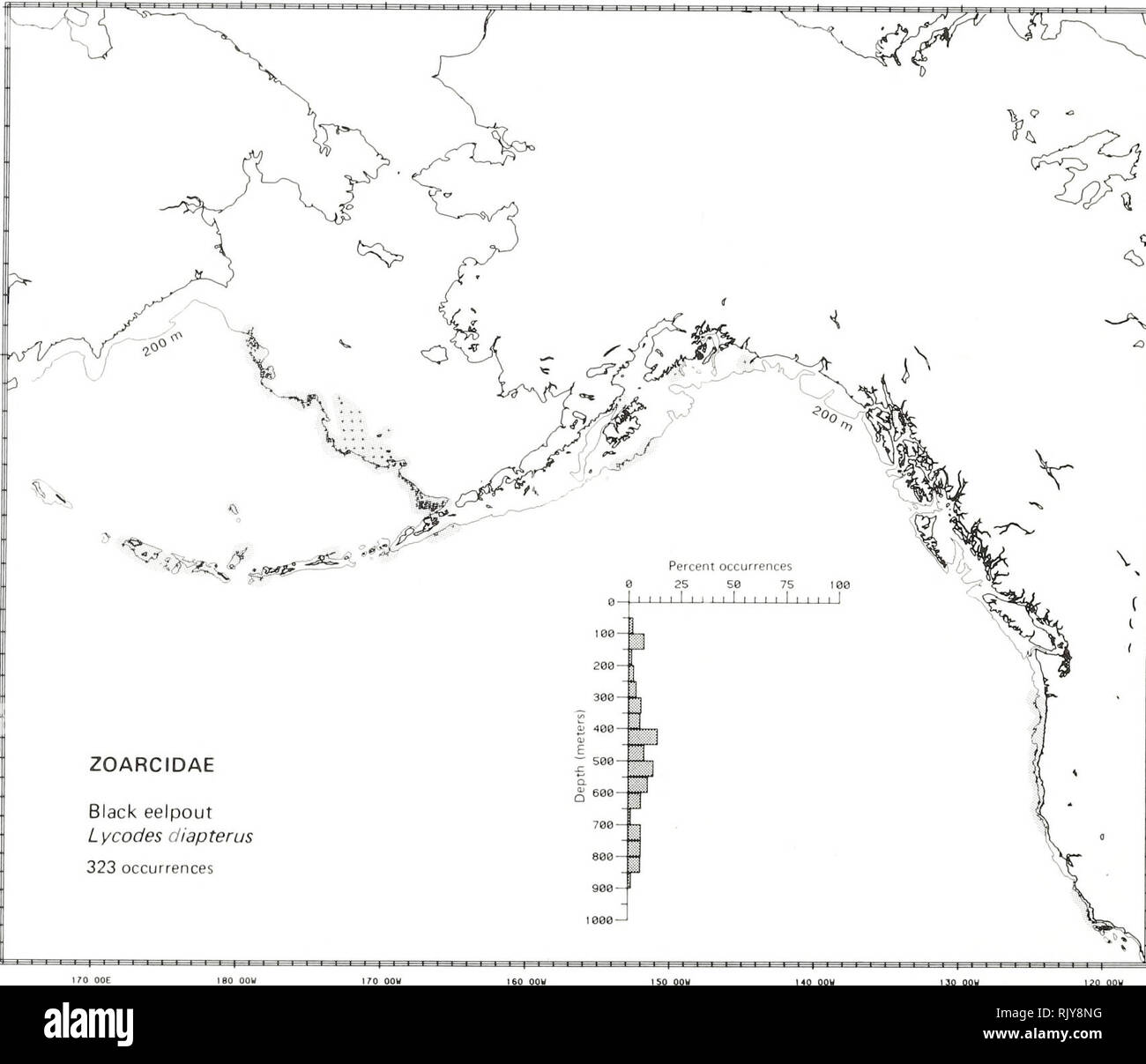 . Atlas and zoogeography of common fishes in the Bering Sea and Northeastern Pacific / M. James Allen, Gary B. Smith. Fishes Bering Sea Geographical distribution.. BLACK EELPOUT, Lycodes diapterus Gilbert 1892 Zoarcidae: Eelpouts Literature Reported from the Sea of Japan (and the Sea of Okhotsk) to the northwest Bering Sea and south to San Diego, California (Shmidt 1950; Miller and Lea 1972; Hart 1973), at depths of 13 to 1300 m (Howe 1981; Eschmeyer and Herald 1983). Survey data Found from Navarin Canyon on the northwest slope of the eastern Bering Sea southeast to Akutan Island, west along t Stock Photo