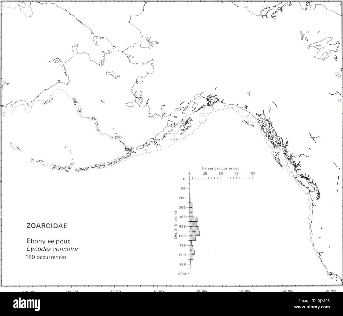 . Atlas and zoogeography of common fishes in the Bering Sea and Northeastern Pacific / M. James Allen, Gary B. Smith. Fishes Bering Sea Geographical distribution.. EBONY EELPOUT, Lycodes concolor Gill and Townsend 1897 Zoarcidae: Eelpouts Taxonomic comment The ebony eelpout, Lycodes concolor, as construed by E. M. Anderson (Dep. Ichthyol., Calif. Acad. Sci., San Francisco, CA 94118, pers. commun. April 1984), includes both L. andriashevi Fedorov 1966 and L. soldatovi Taranets and Andriyashev 1935 as junior synonyms. All records of the species in this survey were identified in the field as L. s Stock Photo