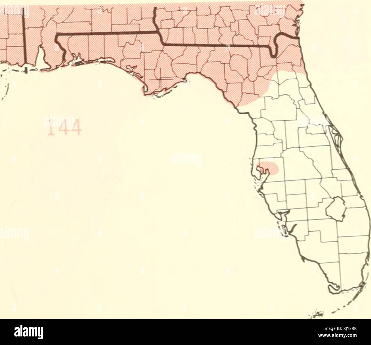 . Atlas of United States trees: volume 5. Florida. Trees. Map 139.—Serenoa repens (Bartr.) Small, saw-palmetto. Map 140.—Staphylea trifolia L., American bladdernut. Map 141.—Steuartia malacodendron L., Virginia stewartia. Map 142.—Styrax americana Lam., American sncwbell. Map 143.—Styrax grandifolia Ait.. bigleaf snowbell. Map 144.—Symplocos tinctoria (L.) L'Her., common sweetleaf.. Please note that these images are extracted from scanned page images that may have been digitally enhanced for readability - coloration and appearance of these illustrations may not perfectly resemble the original  Stock Photo