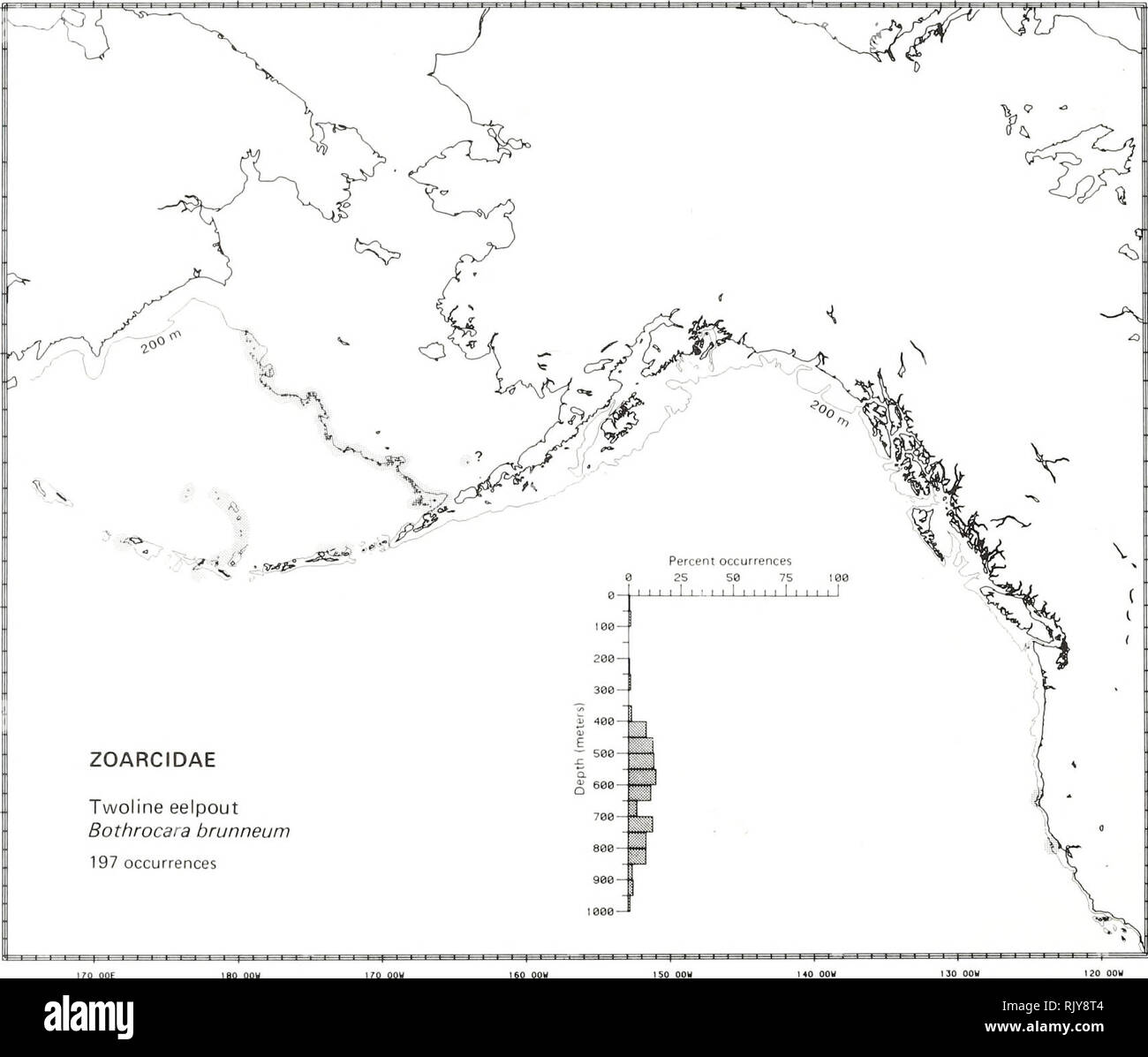 . Atlas and zoogeography of common fishes in the Bering Sea and Northeastern Pacific / M. James Allen, Gary B. Smith. Fishes Bering Sea Geographical distribution.. TWOLINE EELPOUT, Bothrocara brunneum (Bean 1890) Zoarcidae: Eelpouts Literature Reported from Sakhalin, U.S.S.R., in the Sea of Okhotsk to Olyutorski Bay in the western Bering Sea and southeast to the Coronado Islands, Baja California (Miller and Lea 1972; Quast and Hall 1972; Hart 1973), at depths of 199 to 1829 m (Eschmeyer and Herald 1983). Survey data Found from Navarin Canyon on the northwest slope of the eastern Bering Sea sou Stock Photo
