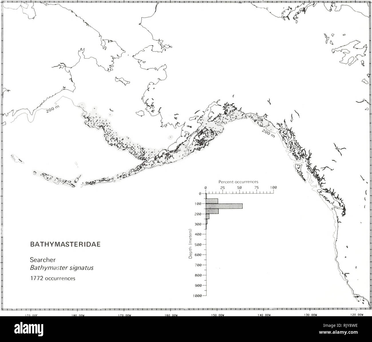 . Atlas and zoogeography of common fishes in the Bering Sea and Northeastern Pacific / M. James Allen, Gary B. Smith. Fishes Bering Sea Geographical distribution.. SEARCHER, Bathymaster signatus Cope 1873 Bathymasteridae: Ronquils Literature Reported from eastern Kamchatka and the Commander Islands to the East Siberian Sea in the Arctic, south through the Bering Sea, west in the Aleutian Islands to Amchitka Island, and east to Washington (Quast and Hall 1972; Simenstad et al. 1977; Eschmeyer and Herald 1983), at depths of 0 to 380 m (Fedorov 1973a; Howe 1981). Survey data Found from Navarin Ca Stock Photo