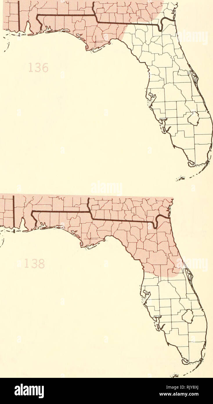 . Atlas of United States trees: volume 5. Florida. Trees. :.J*. Map 133.-5a6a/ palmetto (Walt.) Lodd., cabbage palmetto. Map IM.-Salix caroliniana Michx Coastal Plain willow Man US. Please note that these images are extracted from scanned page images that may have been digitally enhanced for readability - coloration and appearance of these illustrations may not perfectly resemble the original work.. Little, Elbert L. (Elbert Luther), 1907-2004; United States. Forest Service. Washington, D. C. : U. S. Dept. of Agriculture, Forest Service Stock Photo