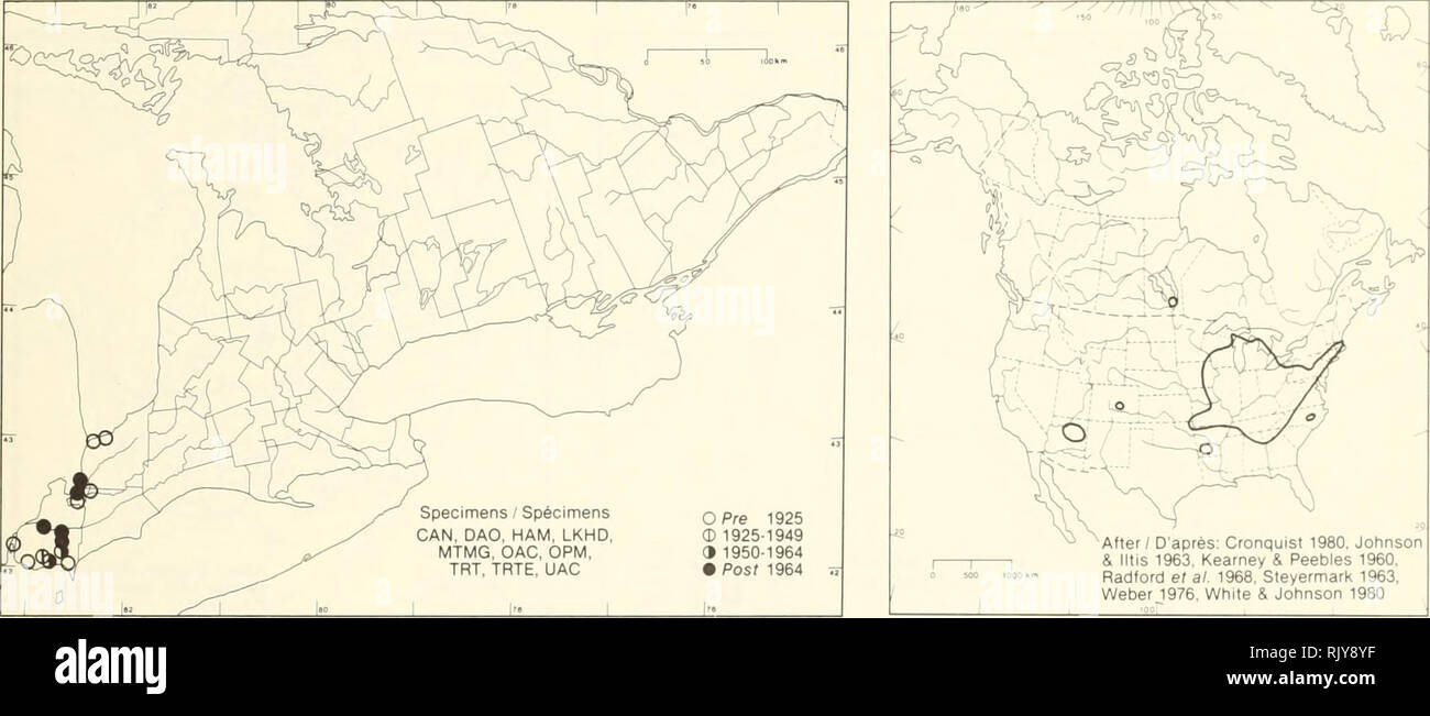 . Atlas of the rare vascular plants of Ontario. Rare plants; Botany. Atlas of the Rare Vascular