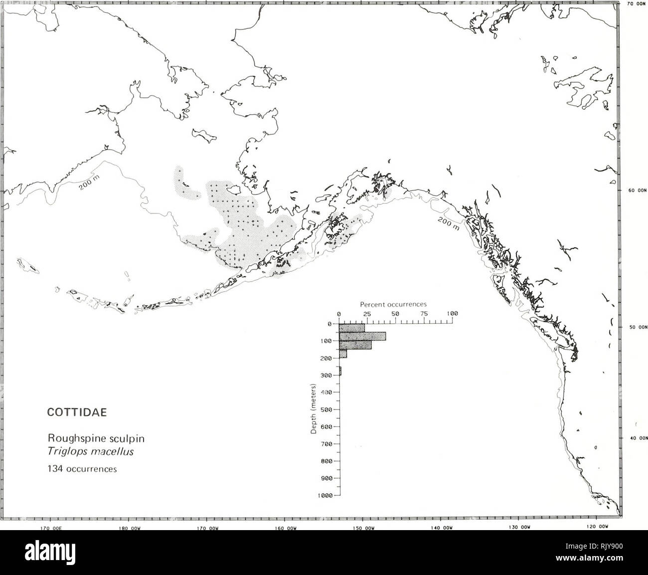 . Atlas and zoogeography of common fishes in the Bering Sea and Northeastern Pacific / M. James Allen, Gary B. Smith. Fishes Bering Sea Geographical distribution.. ROUGHSPINE SCULPIN, Triglops macellus (Bean 1883) Cottidae: Sculpins Literature Reported from the Bering Sea, west in the Aleutian Islands to Amchitka Island, and southeast to Washington (Simenstad et al. 1977; Eschmeyer and Herald 1983), at depths of 18 to 245 m (Fedorov 1973a; Eschmeyer and Herald 1983). Survey data Found from northwest of Saint Matthew Island and north of Nunivak Island, southeast in the eastern Bering Sea to Uni Stock Photo