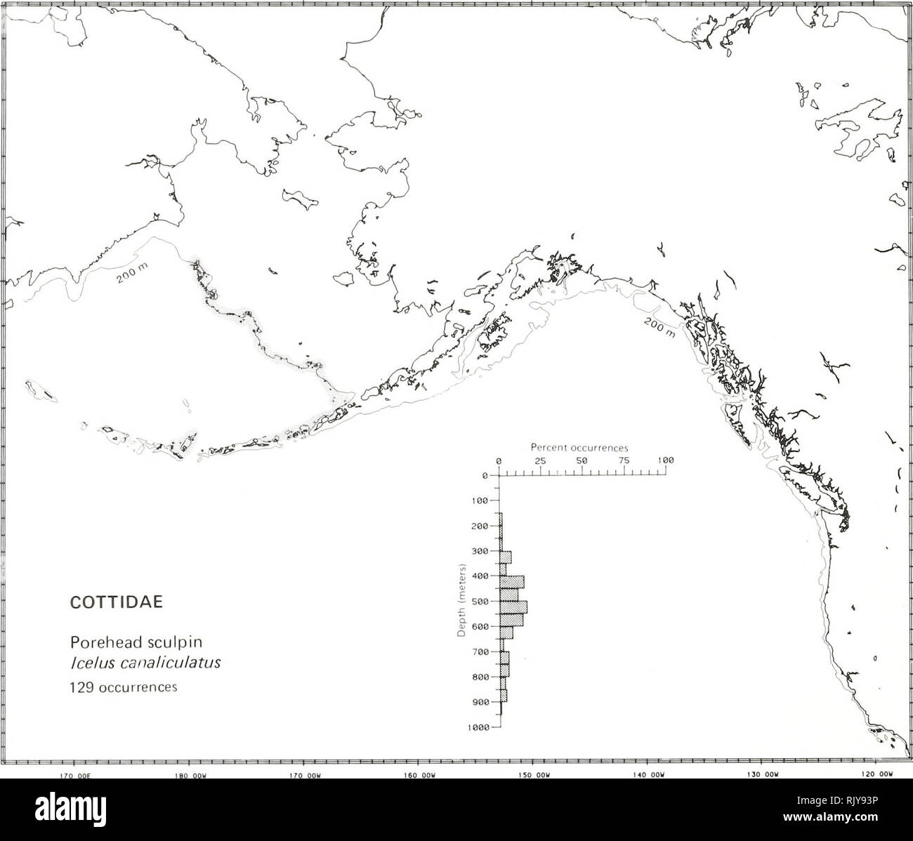 . Atlas and zoogeography of common fishes in the Bering Sea and Northeastern Pacific / M. James Allen, Gary B. Smith. Fishes Bering Sea Geographical distribution.. POREHEAD SCULPIN, Icelus canaliculatus Gilbert 1896 Cottidae: Sculpins Literature Reported from Hokkaido, Japan, to the eastern Bering Sea, west to Unalaska Island in the Aleutian Islands, and east to the Gulf of Alaska (Quast and Hall 1972; Howe 1981; Yabe et al. 1983), at depths of 20 to 800 m (Nelson, D. W. 1984). Survey data Found from Navarin Canyon on the northwest slope of the eastern Bering Sea, southeast to Akutan Island in Stock Photo