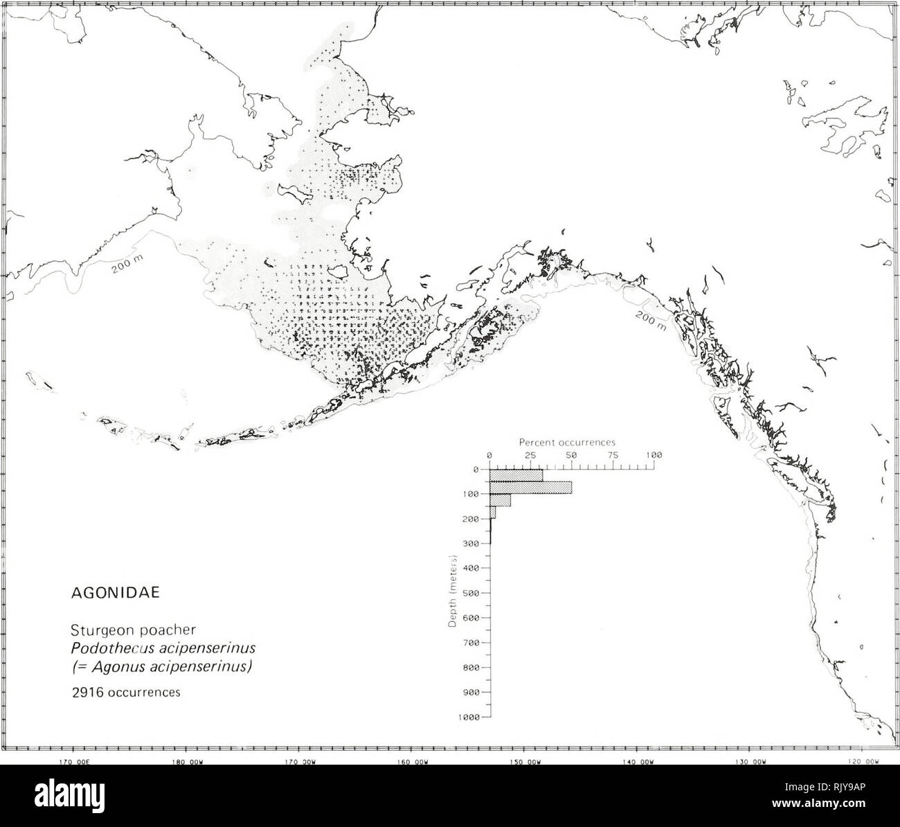 . Atlas and zoogeography of common fishes in the Bering Sea and Northeastern Pacific / M. James Allen, Gary B. Smith. Fishes Bering Sea Geographical distribution.. STURGEON POACHER, Podothecus acipenserinus (Pallas 1813 in Tilesius) Agonidae: Poachers Taxonomic comment The sturgeon poacher is Agonus acipenserinus in Robins (1980), but Ilina (1978), the most recent taxonomic study of this and related species, placed it in the genus Podothecus. Literature Reported from the Arctic near Point Barrow, Alaska, south to the Anadyr Gulf in the western Bering Sea, throughout the southeastern Bering Sea Stock Photo