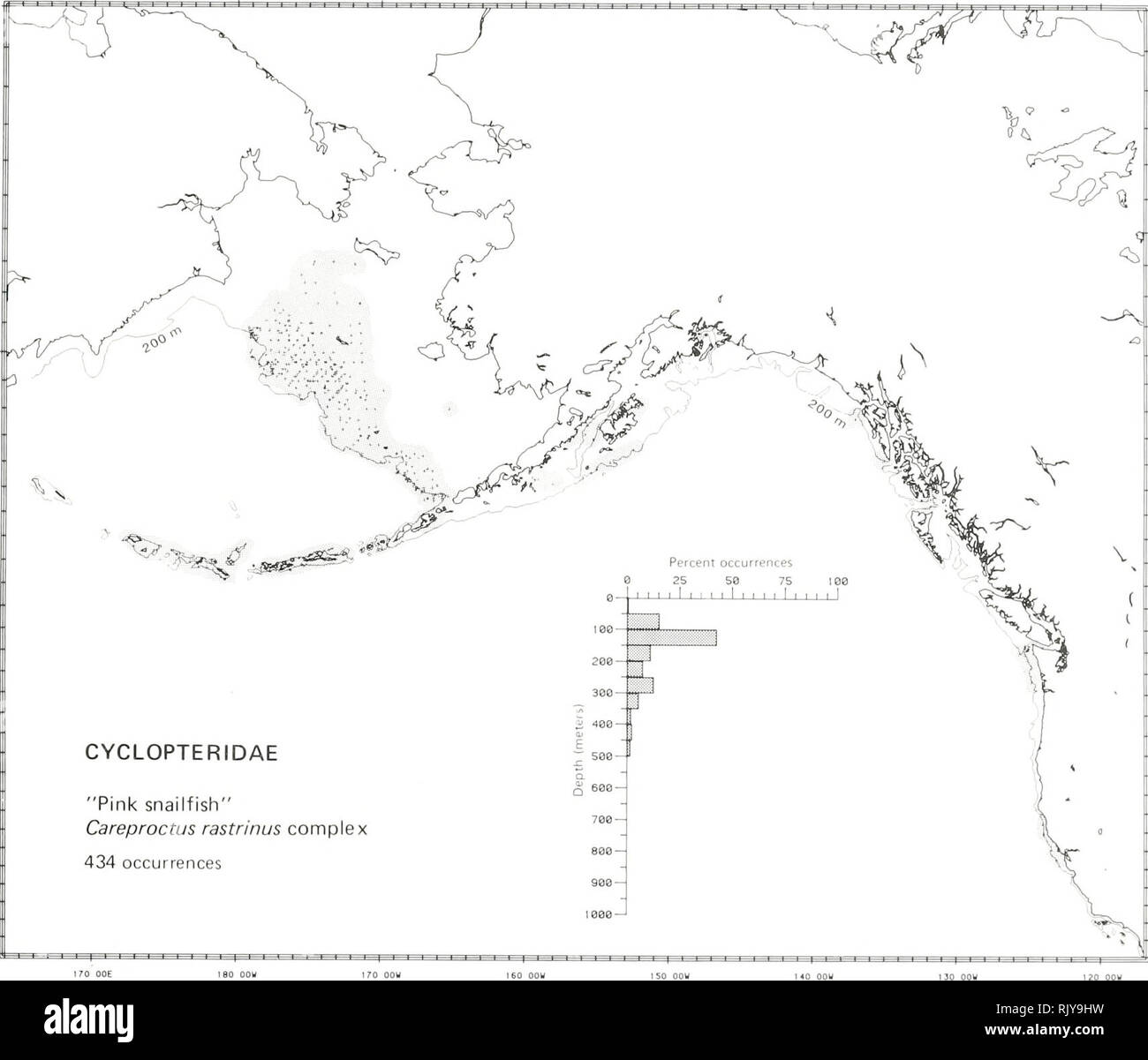 . Atlas and zoogeography of common fishes in the Bering Sea and Northeastern Pacific / M. James Allen, Gary B. Smith. Fishes Bering Sea Geographical distribution.. &quot;PINK SNAILFISH,&quot; Careproctus rastrinus Complex Cyclopteridae: Lumpfishes and Snailfishes Taxonomic comment This complex may include four or more species that have been called &quot;pink snailfish&quot; in the field, including the following: pink snailfish, Careproctus osbomi (Townsend and Nichols 1925); monster snailfish, C. phastna Gilbert 1896; salmon snailfish, C. rastrinus Gilbert and Burke 1912; and peachskin snailfi Stock Photo