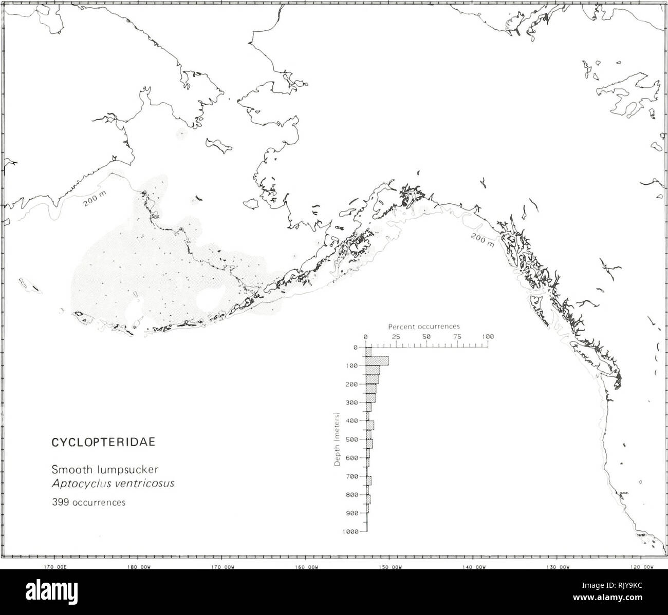 . Atlas and zoogeography of common fishes in the Bering Sea and Northeastern Pacific / M. James Allen, Gary B. Smith. Fishes Bering Sea Geographical distribution.. SMOOTH LUMPSUCKER, Aptocyclus ventricosus (Pallas 1769) Cyclopteridae: Lumpfishes and Snailfishes Literature Reported from Pusan, South Korea, to the Anadyr Gulf in the Bering Sea (outside the Sea of Okhotsk), throughout the Com- mander and Aleutian Islands, and southeast to Mathieson Channel, British Columbia (Shmidt 1950; Wilimovsky 1964; Ueno 1970; Quast and Hall 1972; Hart 1973), at depths of 0 to 1500 m (Fedorov 1973a). Survey  Stock Photo