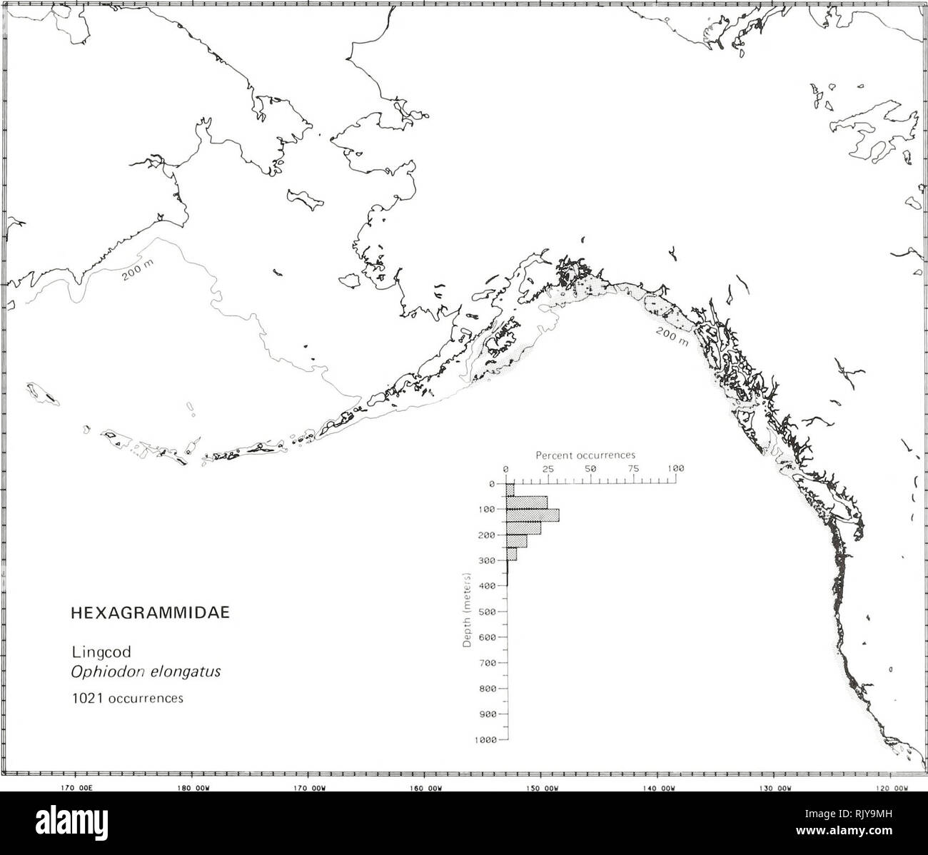. Atlas and zoogeography of common fishes in the Bering Sea and Northeastern Pacific / M. James Allen, Gary B. Smith. Fishes Bering Sea Geographical distribution.. LINGCOD, Ophiodon elongatus Girard 1854 Hexagrammidae: Greenlings Literature Reported from the Shumagin Islands in the western Gulf of Alaska (and possibly the Bering Sea) to Ensenada, Baja Califor- nia (Quast and Hall 1972; Hart 1973), and in depth from the intertidal zone to 427 m (Howe 1981; Garrison and Miller 1982; Eschmeyer and Herald 1983). Survey data Found from southwest of Chirikof Island (south of Shelikof Strait) in the  Stock Photo