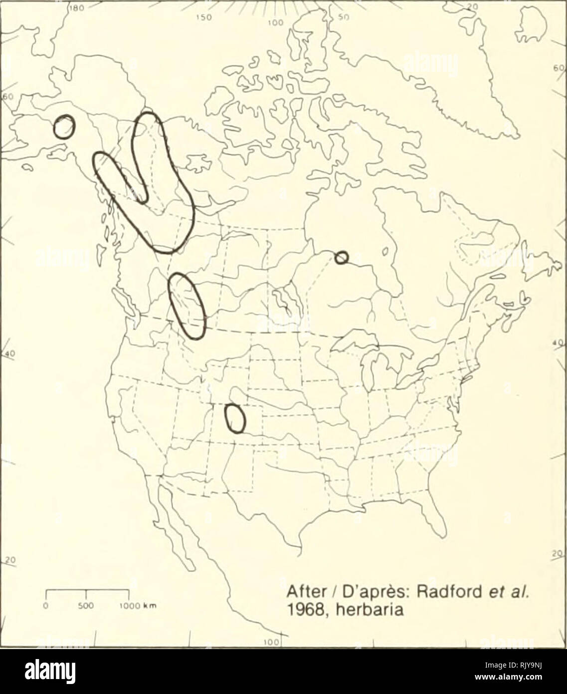. Atlas of the rare vascular plants of Ontario. Rare plants; Botany. Atlas of the Rare Vascular Plants of Ontario / Atlas des plantes vasculalres rares de l'Ontario ASTERACEAE Aster alpinus L. ssp. vierhapperi {Ohno) Cronq. ,' /- / h 1 1» ! 1- 1 1'. Specimens / Spécimens DAO, TRT O Pre 1925 / 0 1925-1949 / «1950-1964 /-^ ' -, • Post 1964 y^ 1 1 ^1^ ^1^^^ /' ^^^ ^y ^xy'^r^ (  /^ r&quot;' y-^r^ '^^^^i^ ^  sT '$f fi^. s - iéi^% ^ i  -,, , ,. ^'^'^&quot;T^^ -^-jf-yf &gt; &quot;i^X Alpine aster Aster HABITAT: Arctic-alpine tundra. STATUS: Rare in the continental Northwest Territories. Endangere Stock Photo