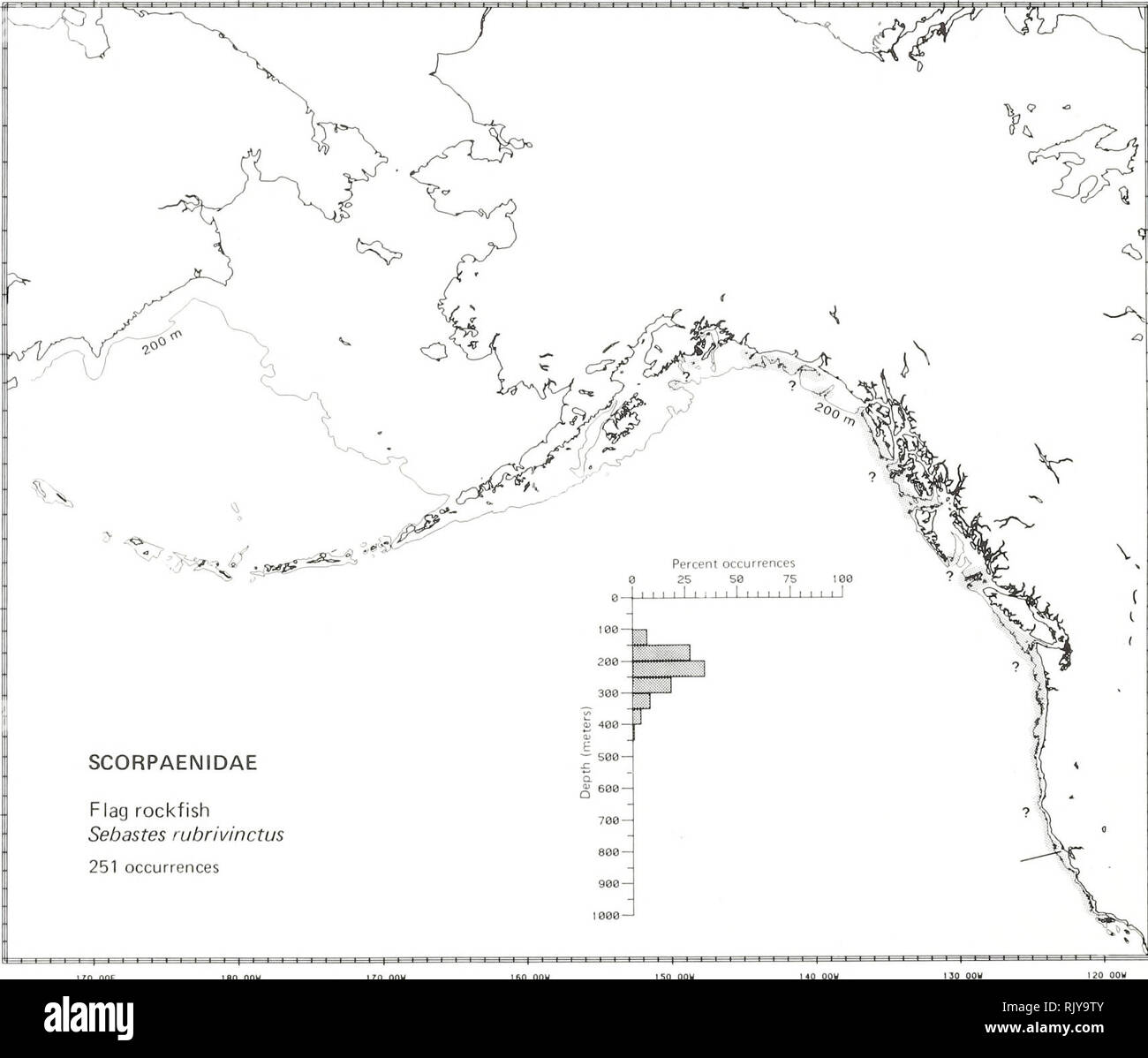 . Atlas and zoogeography of common fishes in the Bering Sea and Northeastern Pacific / M. James Allen, Gary B. Smith. Fishes Bering Sea Geographical distribution.. FLAG ROCKFISH, Sebastes rubrivinctus (Jordan and Gilbert 1880) Scorpaenidae: Scorpionfishes Taxonomic comment The redbanded rockfish, Sebastes babcocki, was considered to be the same species as the flag rockfish, with babcocki being a junior synonym of rubrivinctus, from 1928 to 1972. Rosenblatt and Chen (1972) presented evidence to separate the two as distinct species. Literature Reported from San Francisco, California, to Cape San Stock Photo