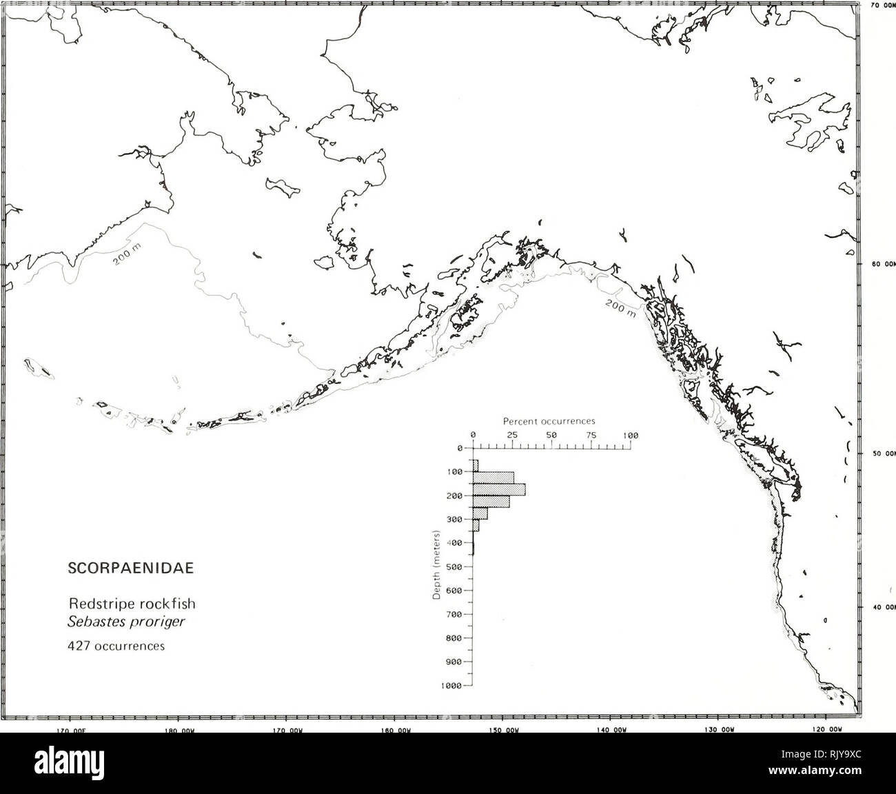 . Atlas and zoogeography of common fishes in the Bering Sea and Northeastern Pacific / M. James Allen, Gary B. Smith. Fishes Bering Sea Geographical distribution.. REDSTRIPE ROCKFISH, Sebastes proriger (Jordan and Gilbert 1880) Scorpaenidae: Scorpionfishes Literature Reported from the Bering Sea and Amchitka Island in the Aleutian Islands to San Diego (Miller and Lea 1972; Simenstad et al. 1977; Eschmeyer and Herald 1983) at depths of 12 to 366 m (Hart 1973; Eschmeyer and Herald 1983). Survey data Taken from Pribilof Canyon in the southeastern Bering Sea and Atka Island in the Aleutian Islands Stock Photo