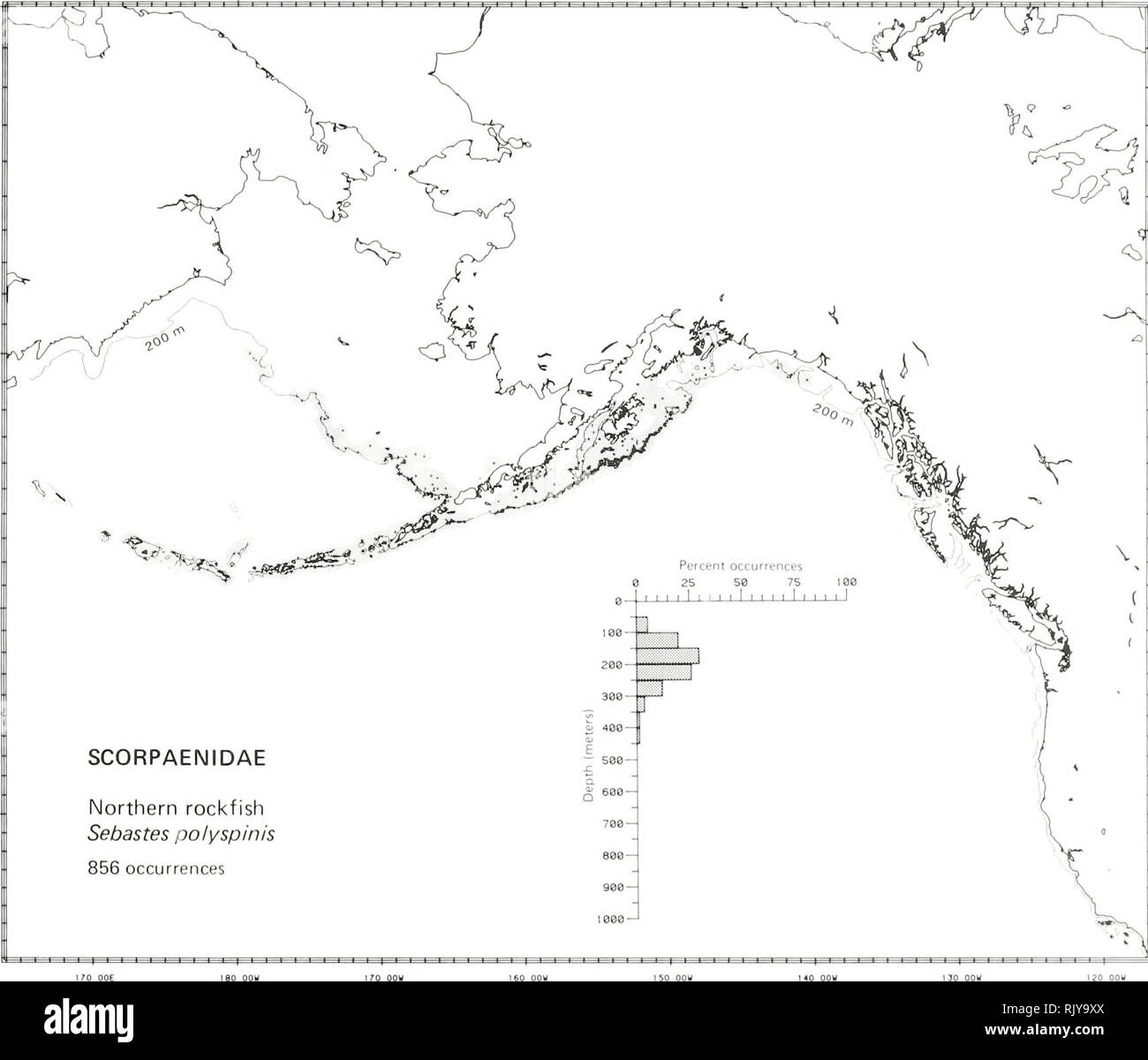 . Atlas and zoogeography of common fishes in the Bering Sea and Northeastern Pacific / M. James Allen, Gary B. Smith. Fishes Bering Sea Geographical distribution.. NORTHERN ROCKFISH, Sebastes polyspinis (Taranets and Moiseev 1933) Scorpaenidae: Scorpionfishes Literature Reported from eastern Kamchatka to the Bering Sea, west in the Aleutian Islands to Amchitka Island, and east to Yakutat, Alaska (Quast and Hall 1972; Simenstad et al. 1977; Eschmeyer and Herald 1983), at depths of 73 to 358 m (Eschmeyer and Herald 1983). Survey data Found from Pervenets Canyon on the northwest slope of the east Stock Photo