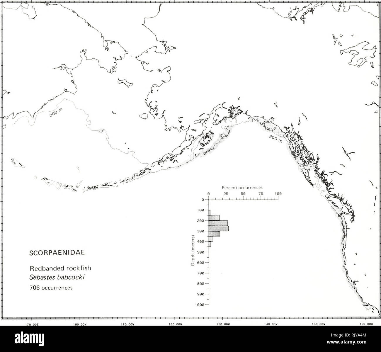 . Atlas and zoogeography of common fishes in the Bering Sea and Northeastern Pacific / M. James Allen, Gary B. Smith. Fishes Bering Sea Geographical distribution.. REDBANDED ROCKFISH, Sebastes babcocki (Thompson 1915) Scorpaenidae: Scorpionfishes Literature Reported from the Bering Sea and Amchitka Island in the Aleutian Islands to San Diego, California (Howe 1981; Eschmeyer and Herald 1983), at depths of 49 to 550 m (Fedorov 1973a). Survey data Found from northwest of Zhemchug Canyon on the central slope of the eastern Bering Sea and Tigalda Island in the Aleu- tian Islands to Morro Bay, Cali Stock Photo