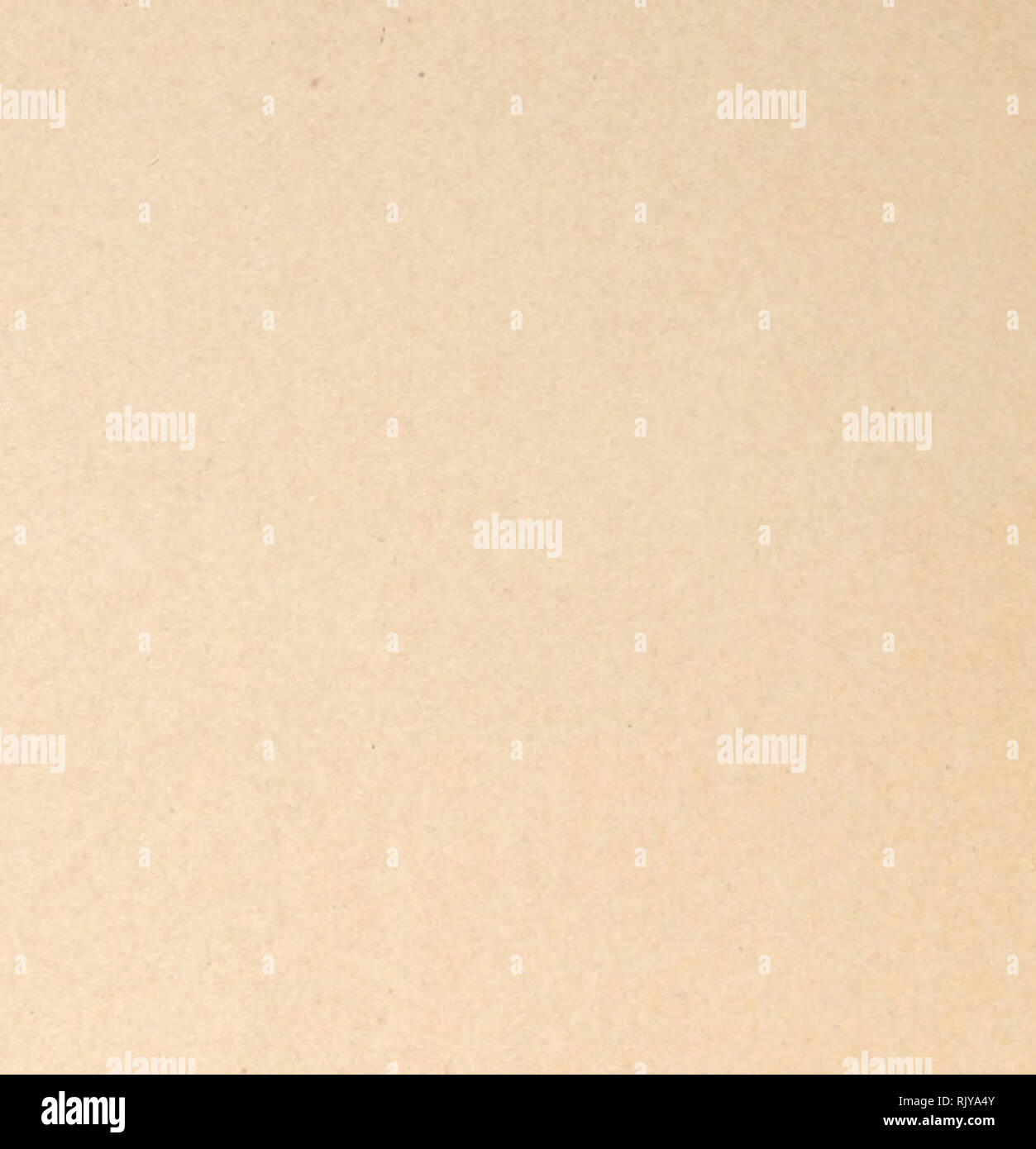 . Atlas of the Philippine Islands. .W /'CaÃ-aTÃnn.. &quot;&quot;&quot;'.; J&quot; Vâm I mu/in 11/, Hihto iK/imibiti/ii h,l,l,UH.. C? del EspÃ-ritu Santo Â°y,Uiunb.u, M.Pamangpan^Ã¡n ,' ,-â P*^ Man^ud^ MBoboyj Vu-iato r, P'.a Maglalabon yulaoi I) a J--^ r MaMi.u,,,'- ^'^'l p. fli/U'-. o Of/H,//H.â., rÃ ^ tti/,iiii/i oÂ¡râ&lt;:â;âi I Hum III/, /v. â '.''/Mil ' 'â &quot;&quot;ii&lt; --l/iniiiiiili. M.Tolay ^^i'ffvniik'S I 'uixituim ^ '^ MSigarag Â° M.Catarman SaltÃ© Sanglejf o o /.op/' lU X'eipt S. Hicriiui '' T,/nuibu,-,4i, cJMilllii'iH/i/ |^â¢^h-.^.^sâ¢| Mpsa de Palapag , {milhuillÃ-n ^ P'.aSil Stock Photo