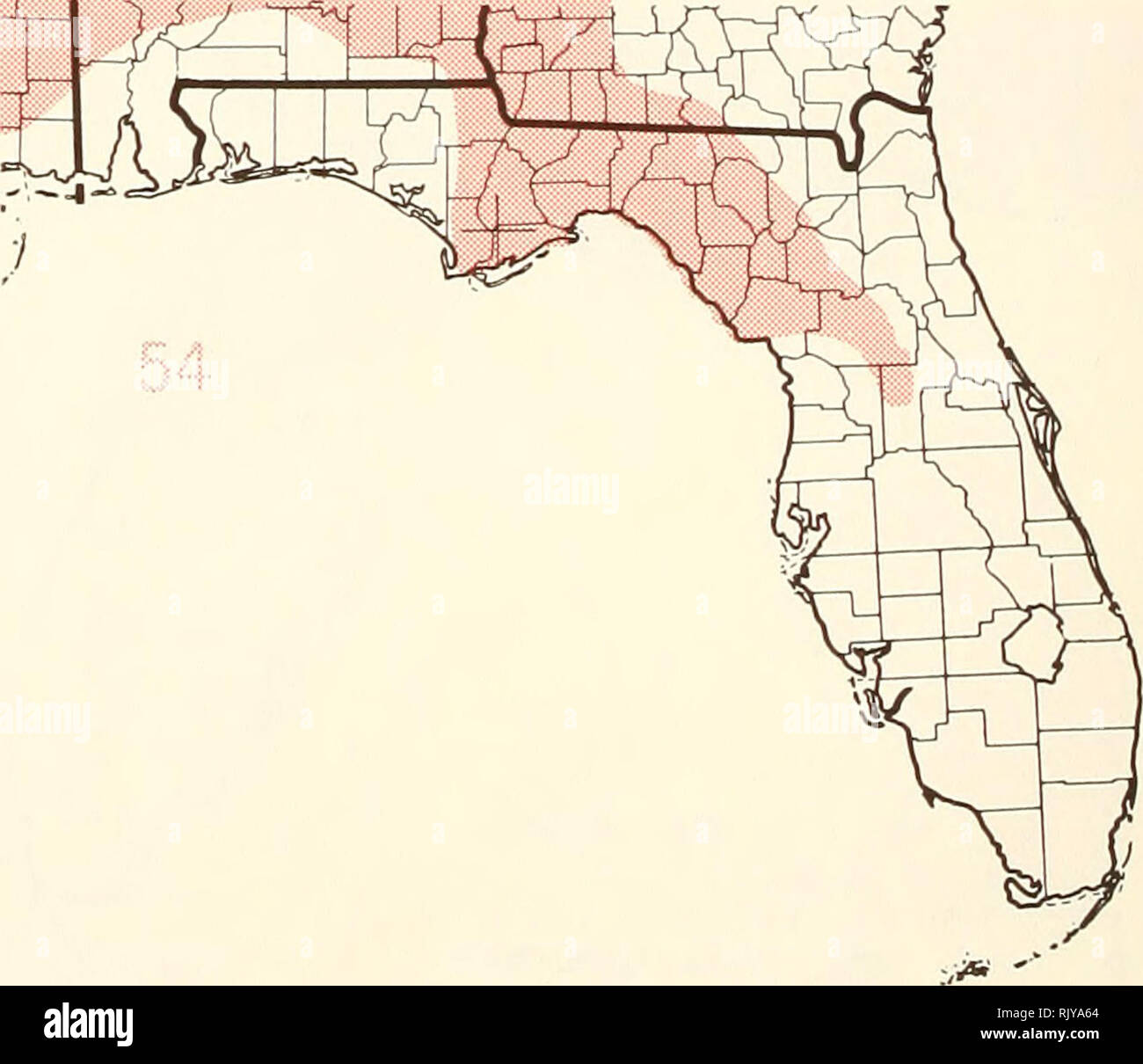 . Atlas of United States trees: volume 5. Florida. Trees. | ' I ' | ' I ' | I I ' | 0 100 200 300 KILOMETERS I. Map 49.—Diospyros virginiana L., common persimmon. Map SQ.—Erythrina herbacea L, southeastern coralbean. Map 51.—Fagus grandifolia Ehrh., American beech. Map 52.—Forestiera acuminata (Michx.) Poir., swamp-privet. Map 53.—Forestiera segre- gata (Jacq.) Krug &amp; Urban, Florida-privet. Map 54.—Fraxinus americana L., white ash.. Please note that these images are extracted from scanned page images that may have been digitally enhanced for readability - coloration and appearance of these Stock Photo