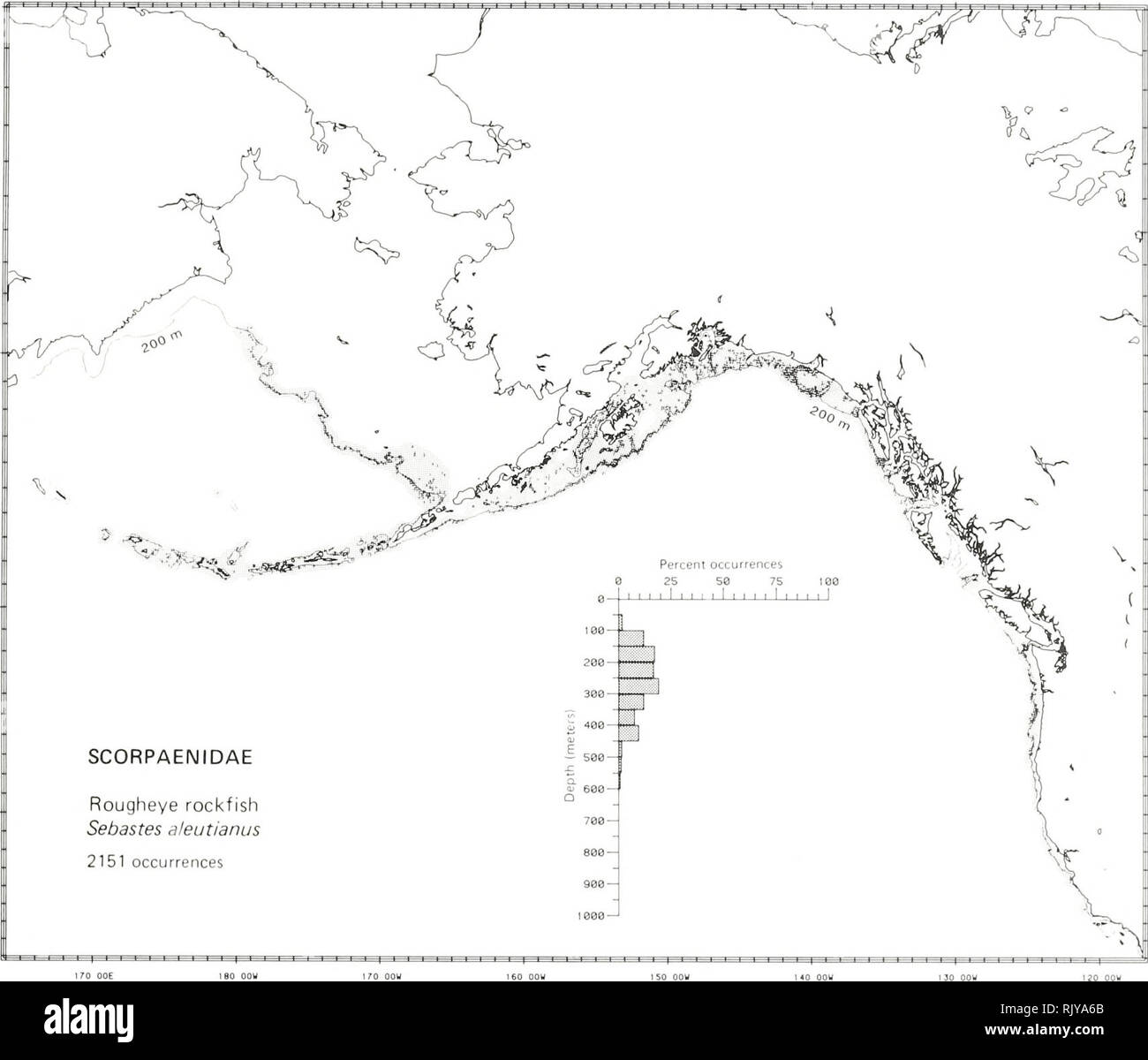 . Atlas and zoogeography of common fishes in the Bering Sea and Northeastern Pacific / M. James Allen, Gary B. Smith. Fishes Bering Sea Geographical distribution.. ROUGHEYE ROCKFISH, Sebastes aleutianus (Jordan and Evermann 1898) Scorpaenidae: Scorpionfishes Literature Reported from Japan to the Bering Sea (but not in the Sea of Okhotsk), west in the Aleutian Islands to Amchitka Island, and south to San Diego, California (Miller and Lea 1972; Simenstad et al. 1977; Howe 1981; Eschmeyer and Herald 1983). Reported depths from 88 to 732 m (deeper records to 2820 m were probably shortraker rockfis Stock Photo