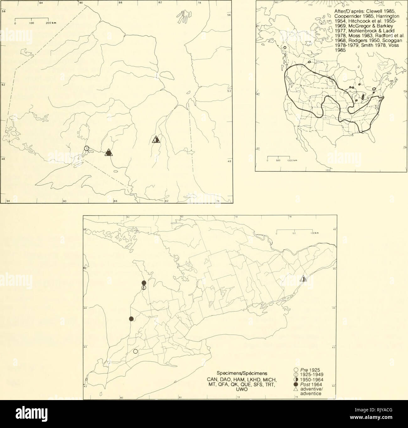 . Atlas of the rare vascular plants of Ontario. Rare plants; Botany
