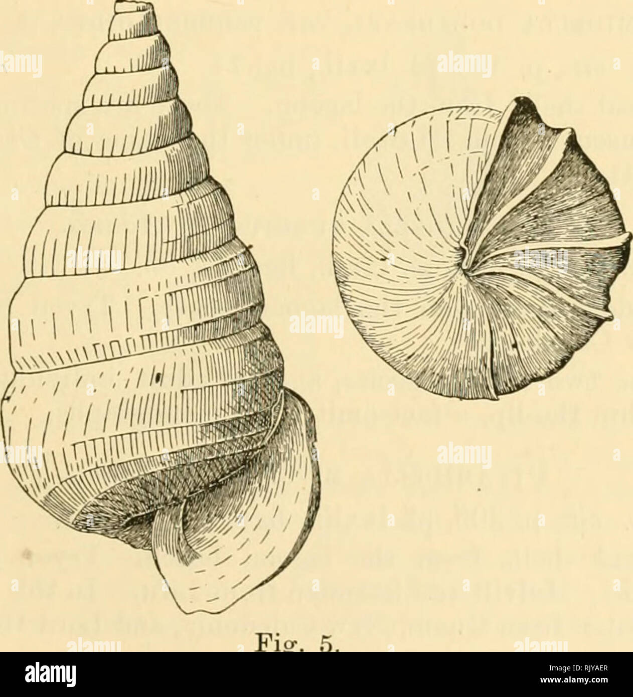 Shining apex hi-res stock photography and images - Alamy