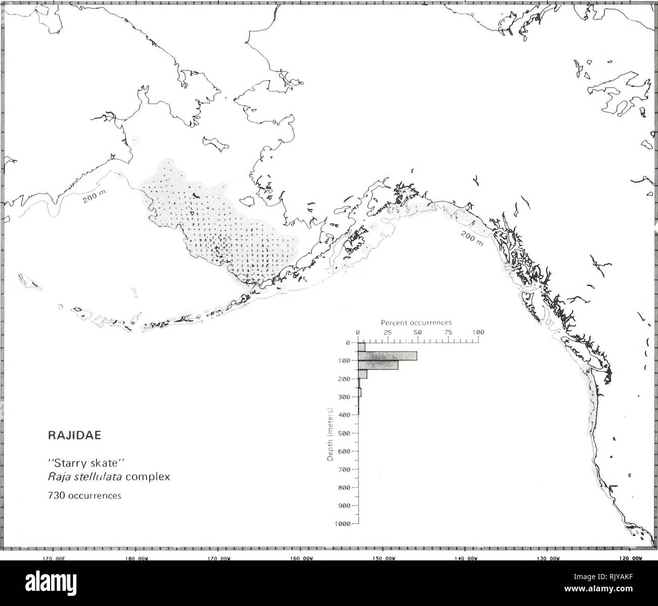 . Atlas and zoogeography of common fishes in the Bering Sea and Northeastern Pacific / M. James Allen, Gary B. Smith. Fishes Bering Sea Geographical distribution.. 'STARRY SKATE,&quot; Raja stellulata Complex Rajidae: Skates Taxonomie comment This complex includes at least two species: the Alaska skate, Bathyraja pannifera (Bean 1881), and the starry skate, Raja stellulata Jordan and Gilbert 1880, which have been called &quot;starry skate&quot; in the field. Field characters used for distinguishing the two species have only recently been well described (see Eschmeyer and Herald 1983). Literatu Stock Photo