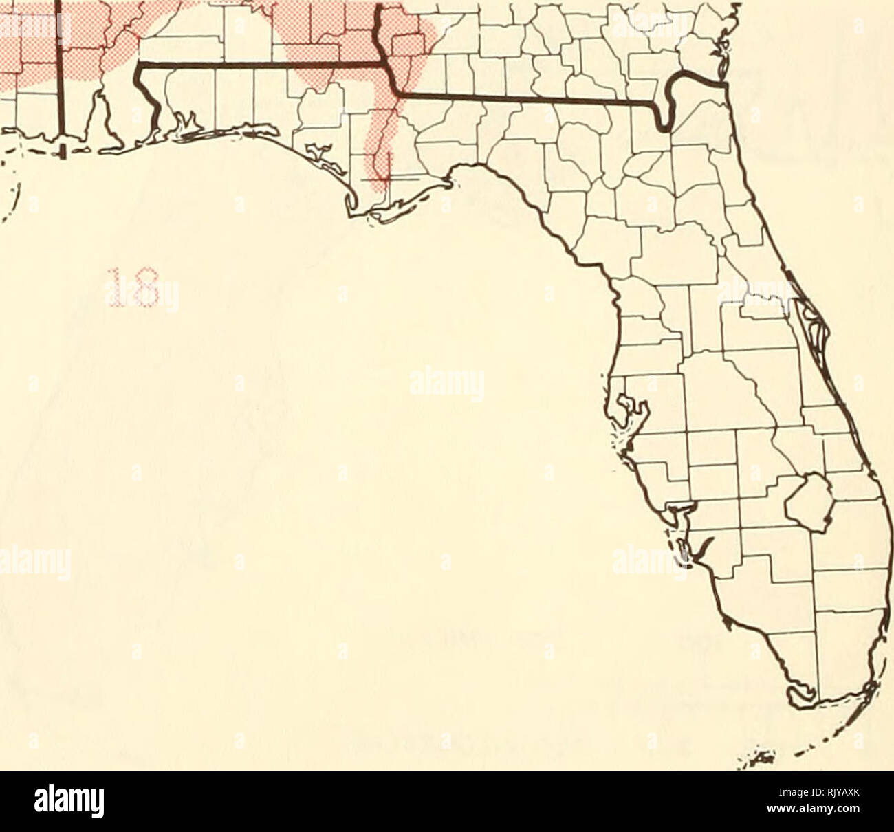 . Atlas of United States trees: volume 5. Florida. Trees. 0 100 200 MILES I i I I I i I i | ' I ' | ' I ' | ' I ' | 0 100 200 300 KILOMETERS I. Map 13.—Torreya taxifolia Arn., Florida torreya. Map 14.—Acer barbatum Michx., Florida maple. Map 15.—Acer leucoderme Small, chalk maple. Map 16.—Acer negundo L., boxelder. Map 17.—Acer rubrum L., red maple. Map 18.—Acer saccharinum L., silver maple.. Please note that these images are extracted from scanned page images that may have been digitally enhanced for readability - coloration and appearance of these illustrations may not perfectly resemble the Stock Photo