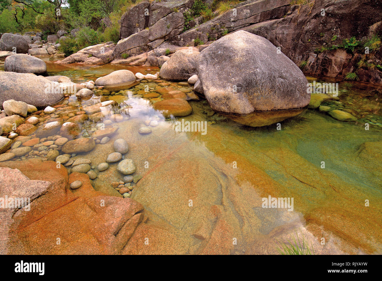 Cristal clean water and huge rocks in a wild ravine in mountain region ...