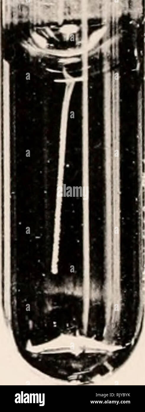 Page 16 - Sence High Resolution Stock Photography and Images - Alamy