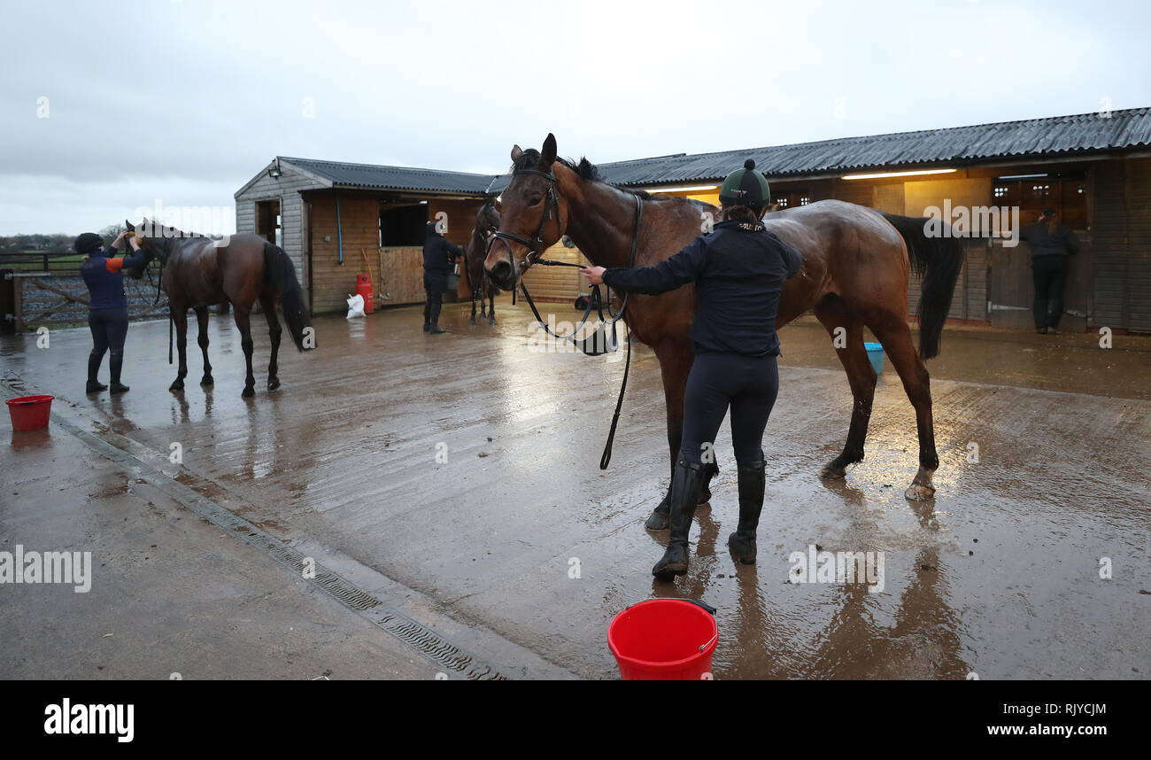 Stable hands with Horses at a stables in Worcestershire after ...