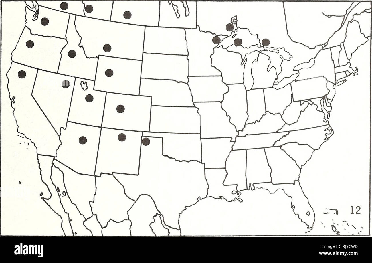 . Atlas of United States trees: volume 6. Supplement. Trees. Vi&gt; (?3 o -n 11   ] &quot;^-pJ?. Map 10.— Crataegus crus-galli L., cockspur hawthorn. Map 11.—Crataegus dilatata Sarg., broadleaf hawthorn. Map 12.—Crataegus douglasii Lindl., black hawthorn.. Please note that these images are extracted from scanned page images that may have been digitally enhanced for readability - coloration and appearance of these illustrations may not perfectly resemble the original work.. Little, Elbert L. (Elbert Luther), 1907-2004; United States. Forest Service. Washington, D. C. : U. S. Dept. of Agricu Stock Photo