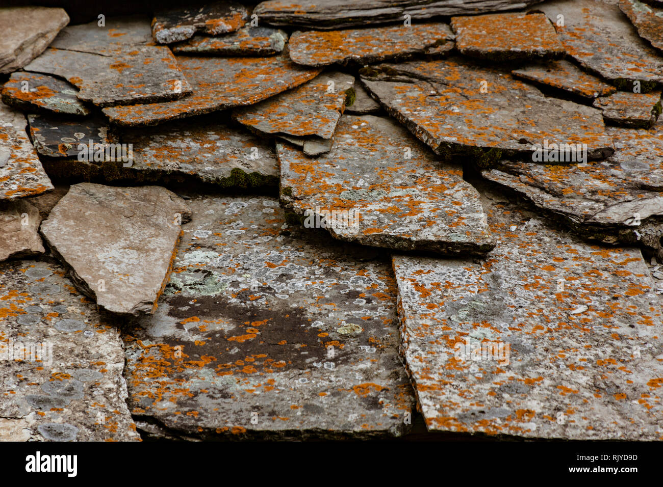 Background pattern from slate tiles with red mold Stock Photo