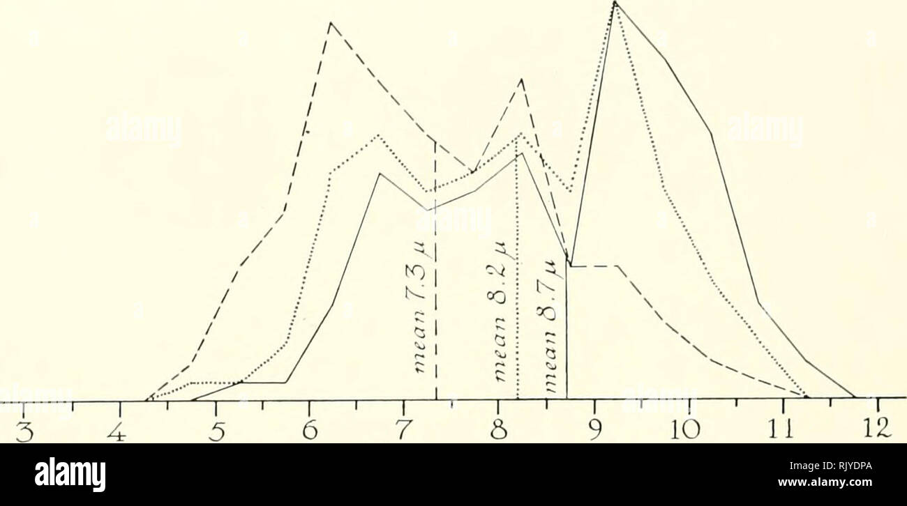 Page 7 207 G High Resolution Stock Photography And Images Alamy
