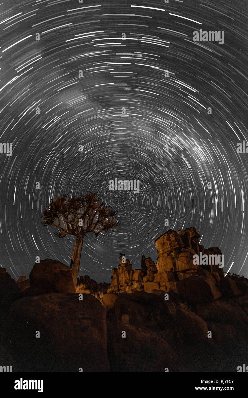 Star trails circle over quivertrees in Namibia Stock Photo