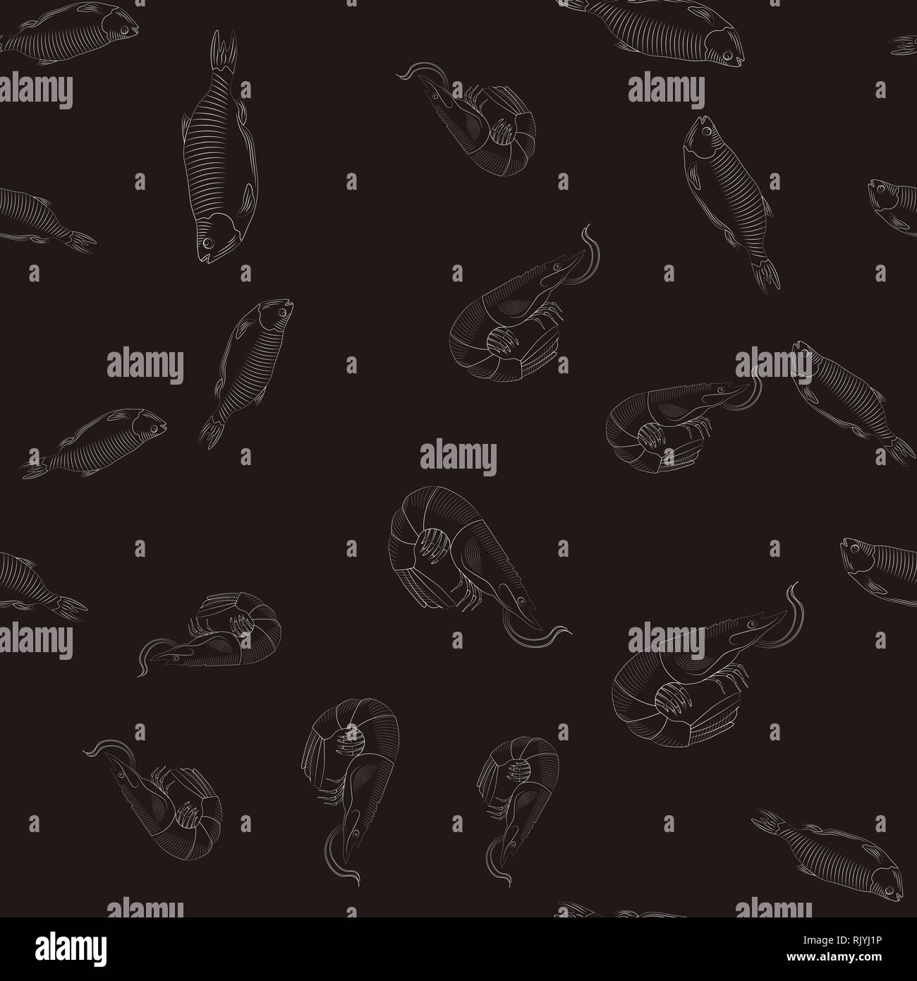 Shrimp drawing hi-res stock photography and images - Alamy