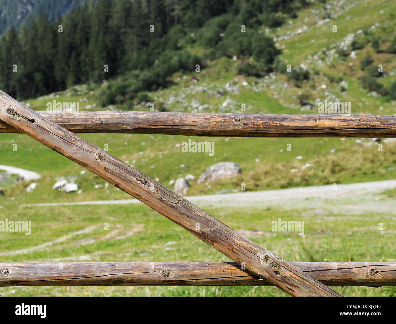 Woodland gate and fence hi-res stock photography and images - Alamy