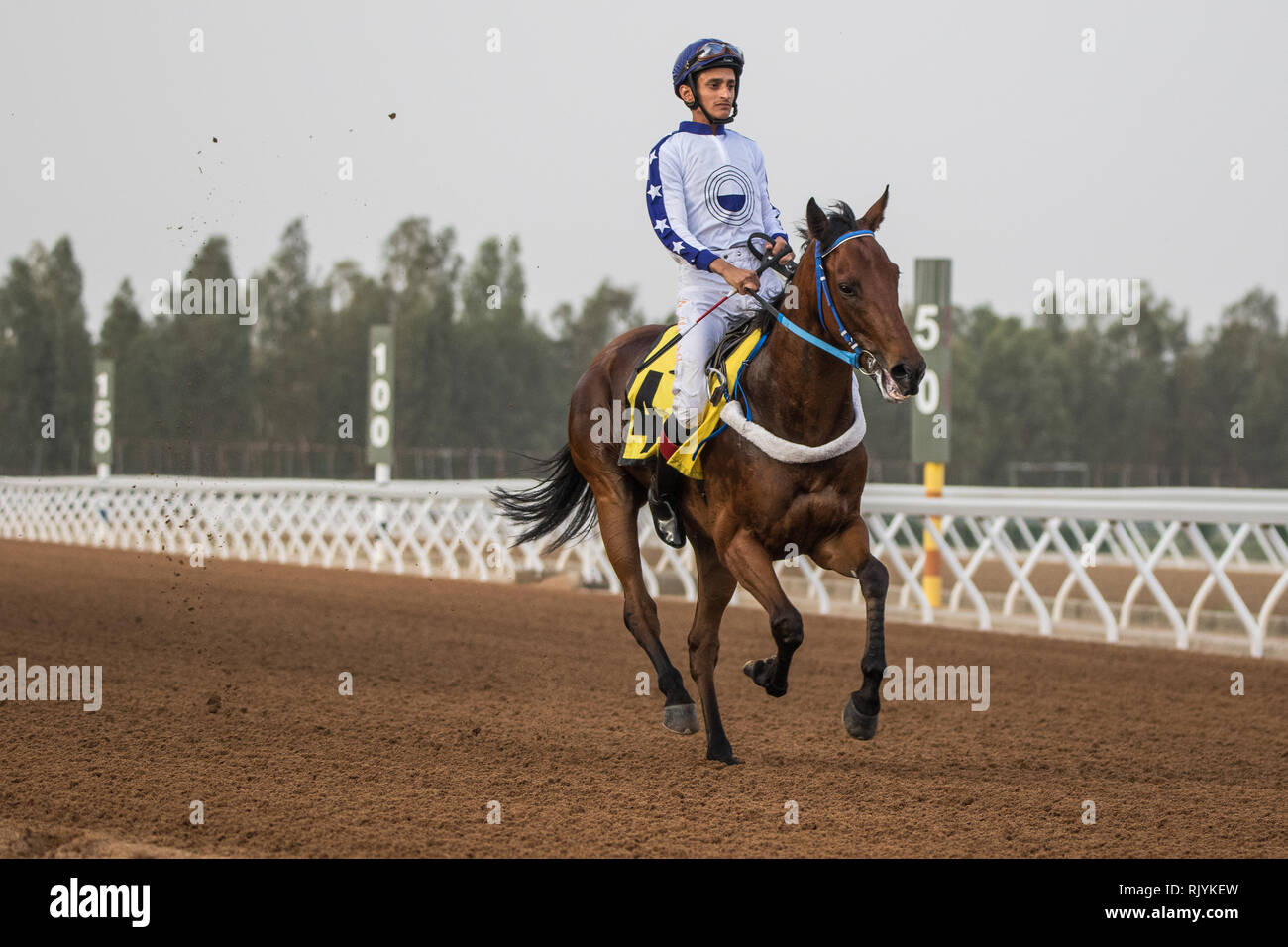 Horse racing at King Khalid Racetrack, Taif, Saudi Arabia. 22/06/2018 Stock Photo