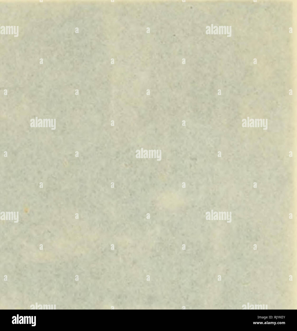 Atelier Rosa Bonheur Animals X Co 3 D 0 O Quot U Quot S 3 3 4 H 15 Gt Gt O I M 0 15 O H Uc Inri Hi 1 Vti V Please