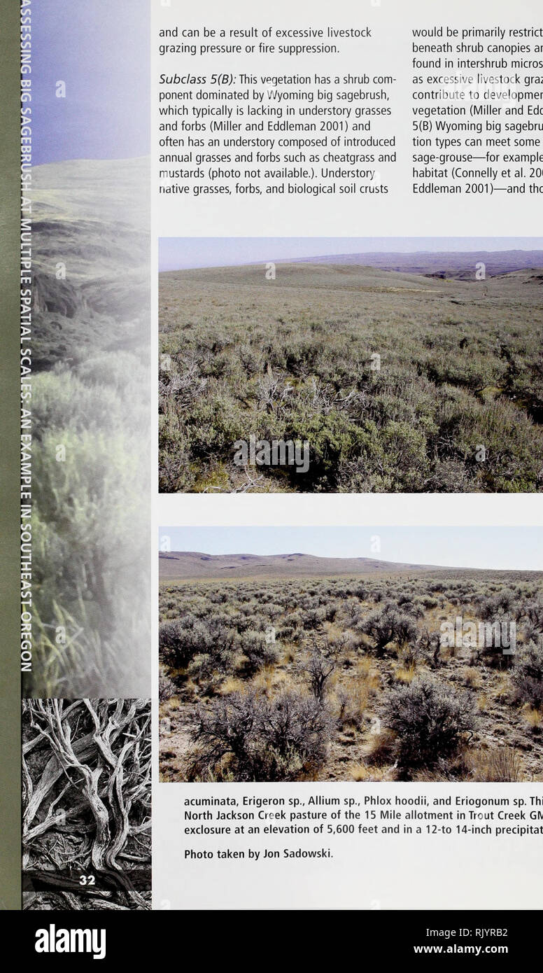 Cheatgrass: Fire and Forage on the Range