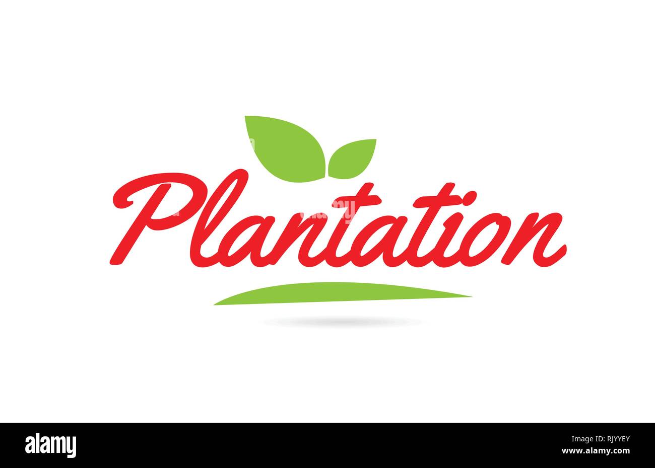 Plantation hand written word text for typography design in red color ...