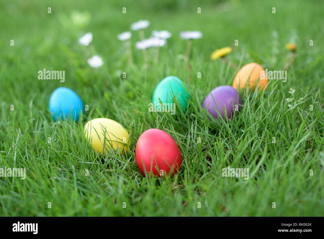 Six hen colored eggs a in a grass - Easter hunt Stock Photo